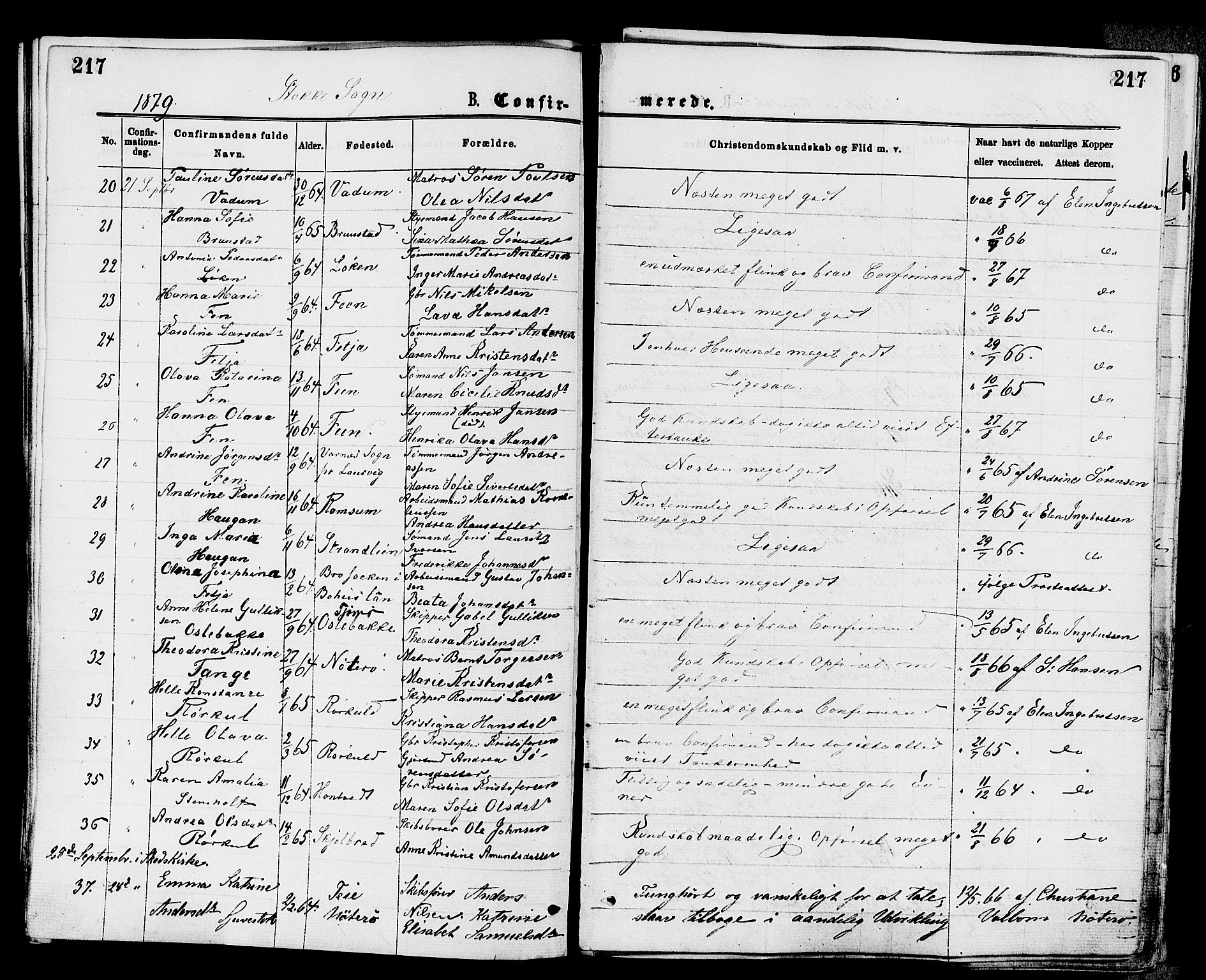 Stokke kirkebøker, AV/SAKO-A-320/F/Fa/L0009: Parish register (official) no. I 9, 1872-1883, p. 217