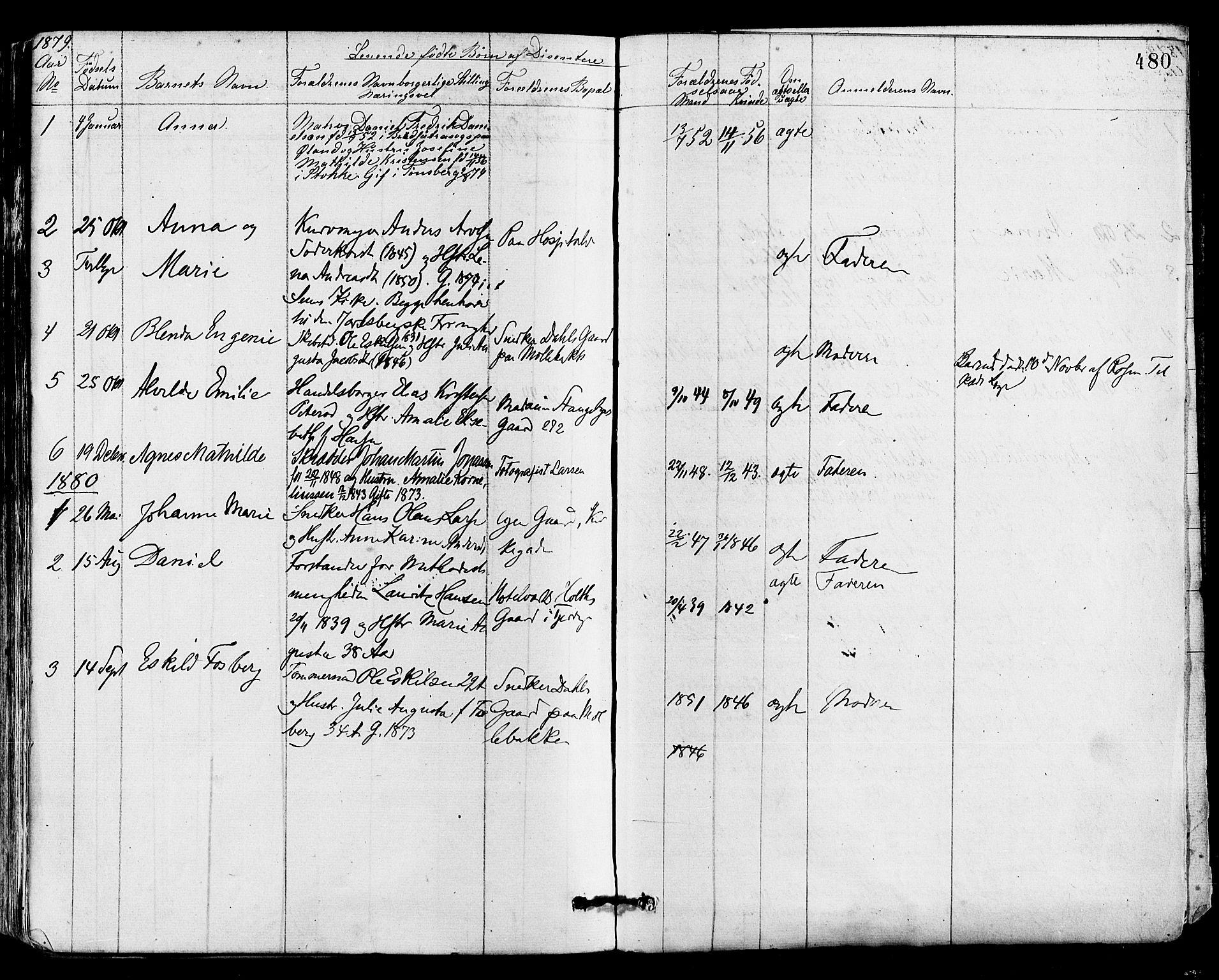 Tønsberg kirkebøker, SAKO/A-330/F/Fa/L0010: Parish register (official) no. I 10, 1874-1880, p. 480