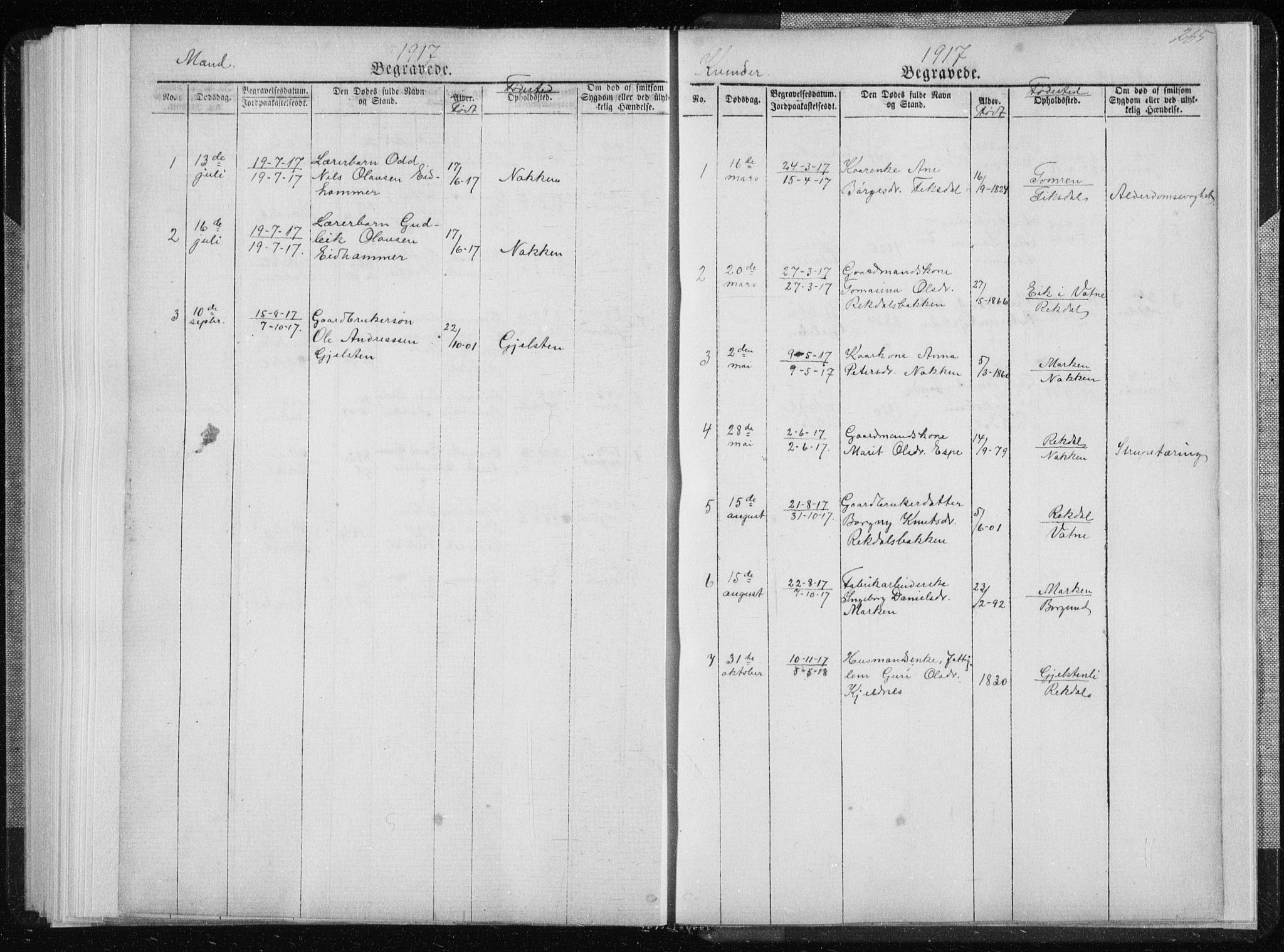 Ministerialprotokoller, klokkerbøker og fødselsregistre - Møre og Romsdal, SAT/A-1454/540/L0541: Parish register (copy) no. 540C01, 1867-1920, p. 265
