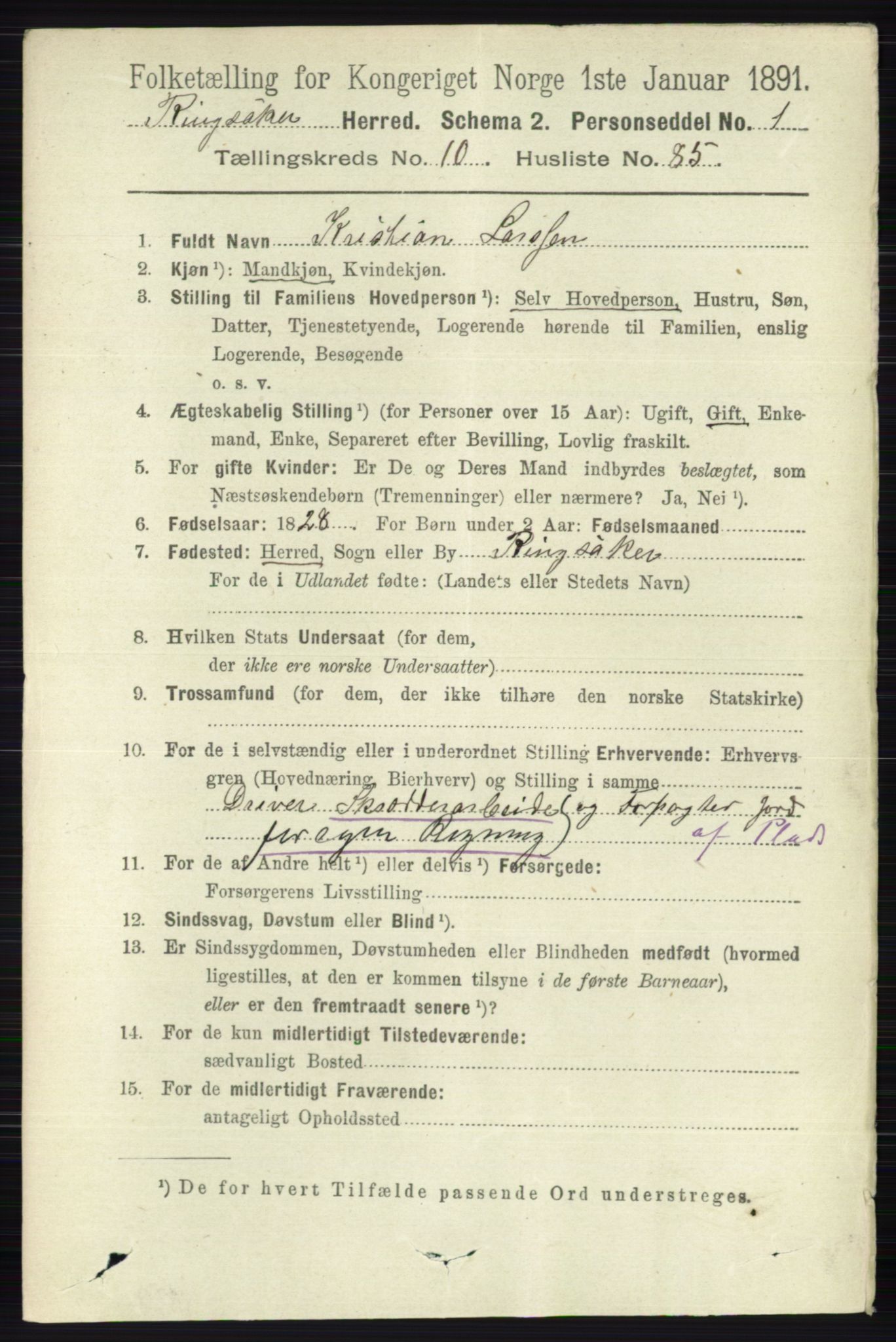 RA, 1891 census for 0412 Ringsaker, 1891, p. 6164