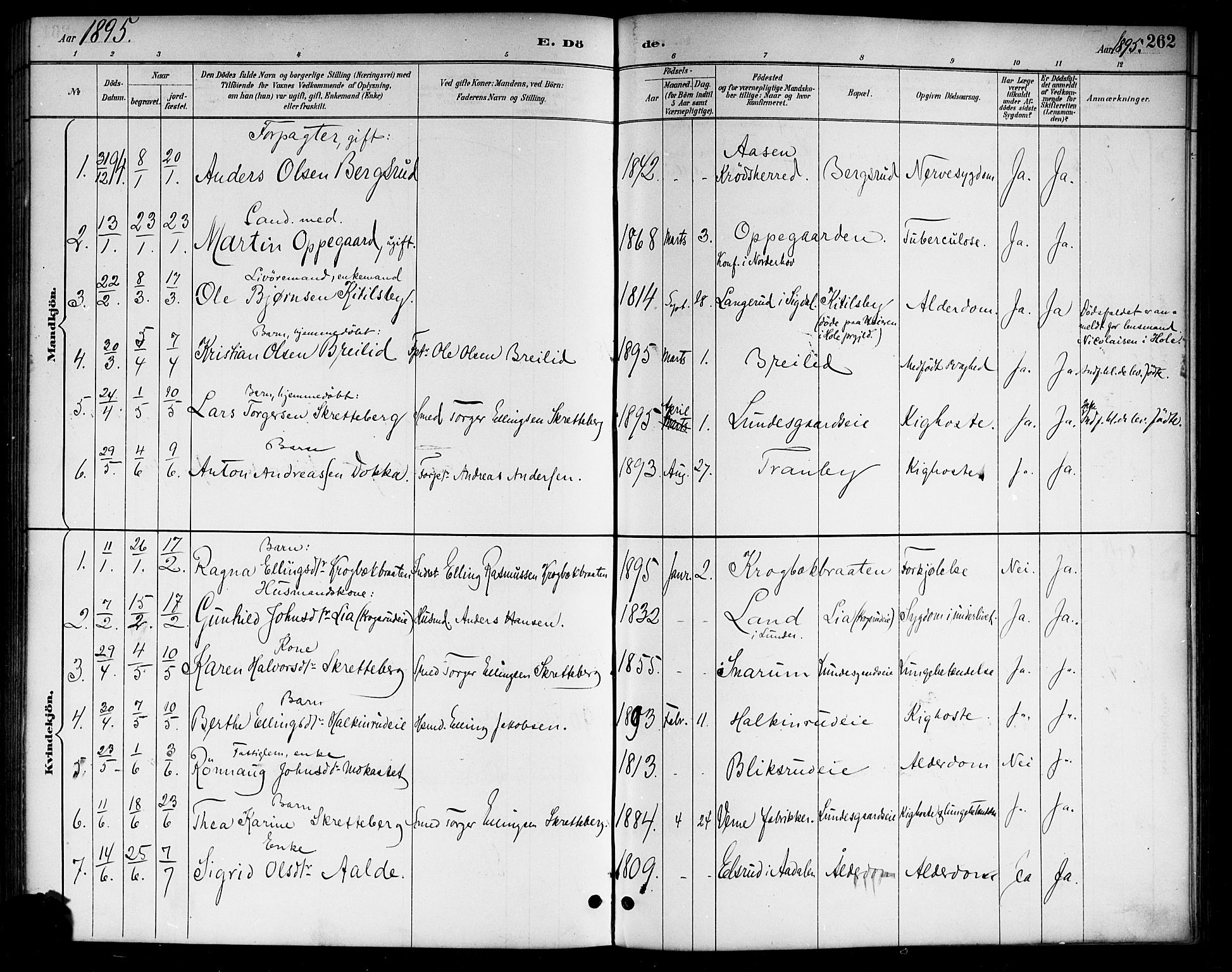 Lunder kirkebøker, SAKO/A-629/G/Ga/L0004: Parish register (copy) no. I 4, 1889-1917, p. 262