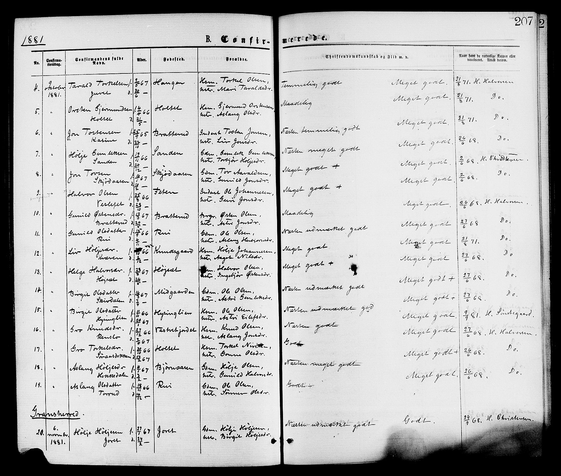 Gransherad kirkebøker, SAKO/A-267/F/Fa/L0004: Parish register (official) no. I 4, 1871-1886, p. 207