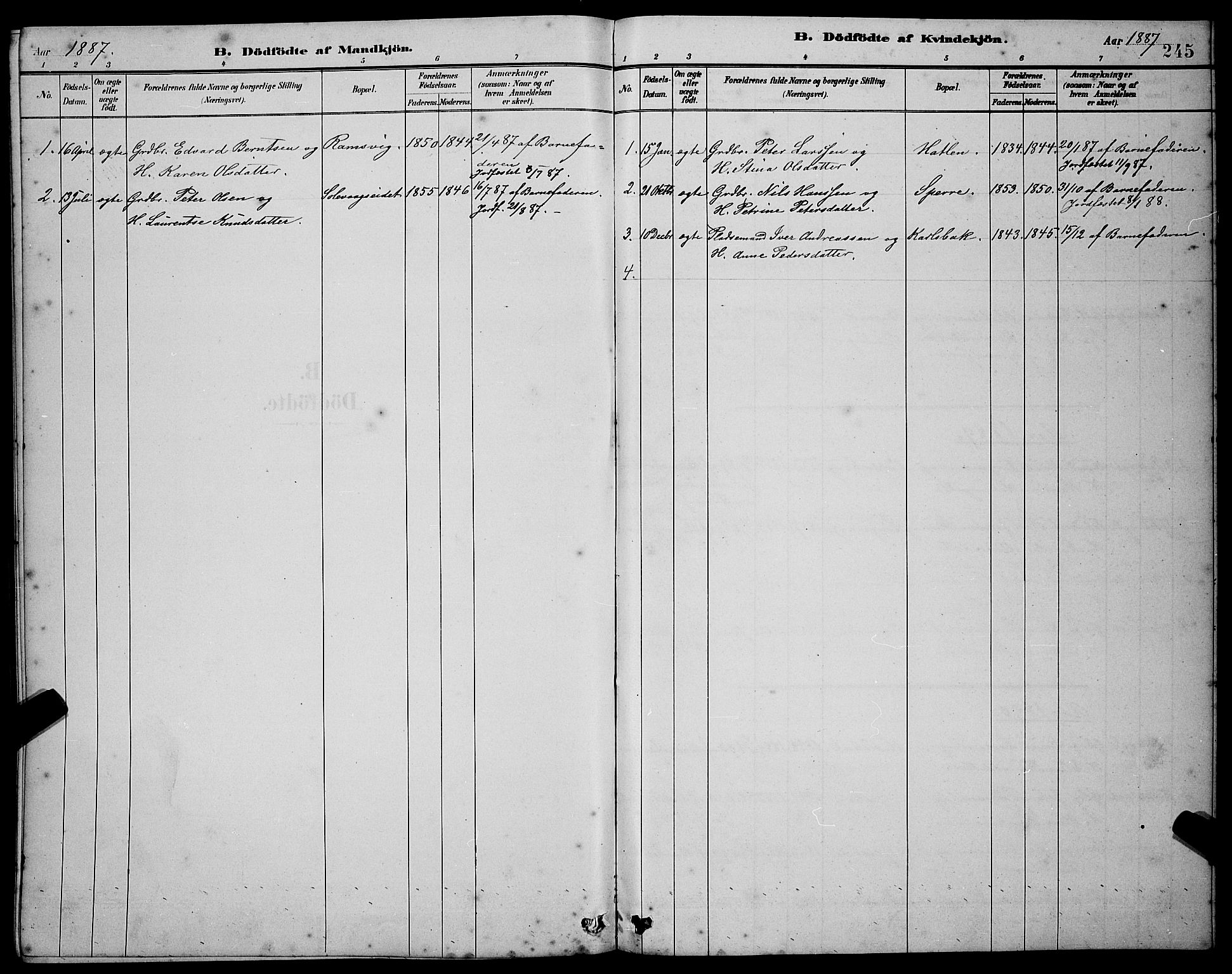 Ministerialprotokoller, klokkerbøker og fødselsregistre - Møre og Romsdal, SAT/A-1454/528/L0431: Parish register (copy) no. 528C12, 1885-1898, p. 245