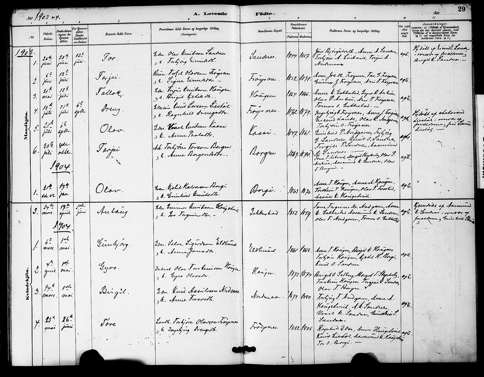 Bygland sokneprestkontor, AV/SAK-1111-0006/F/Fa/Fac/L0001: Parish register (official) no. A 1, 1885-1909, p. 29