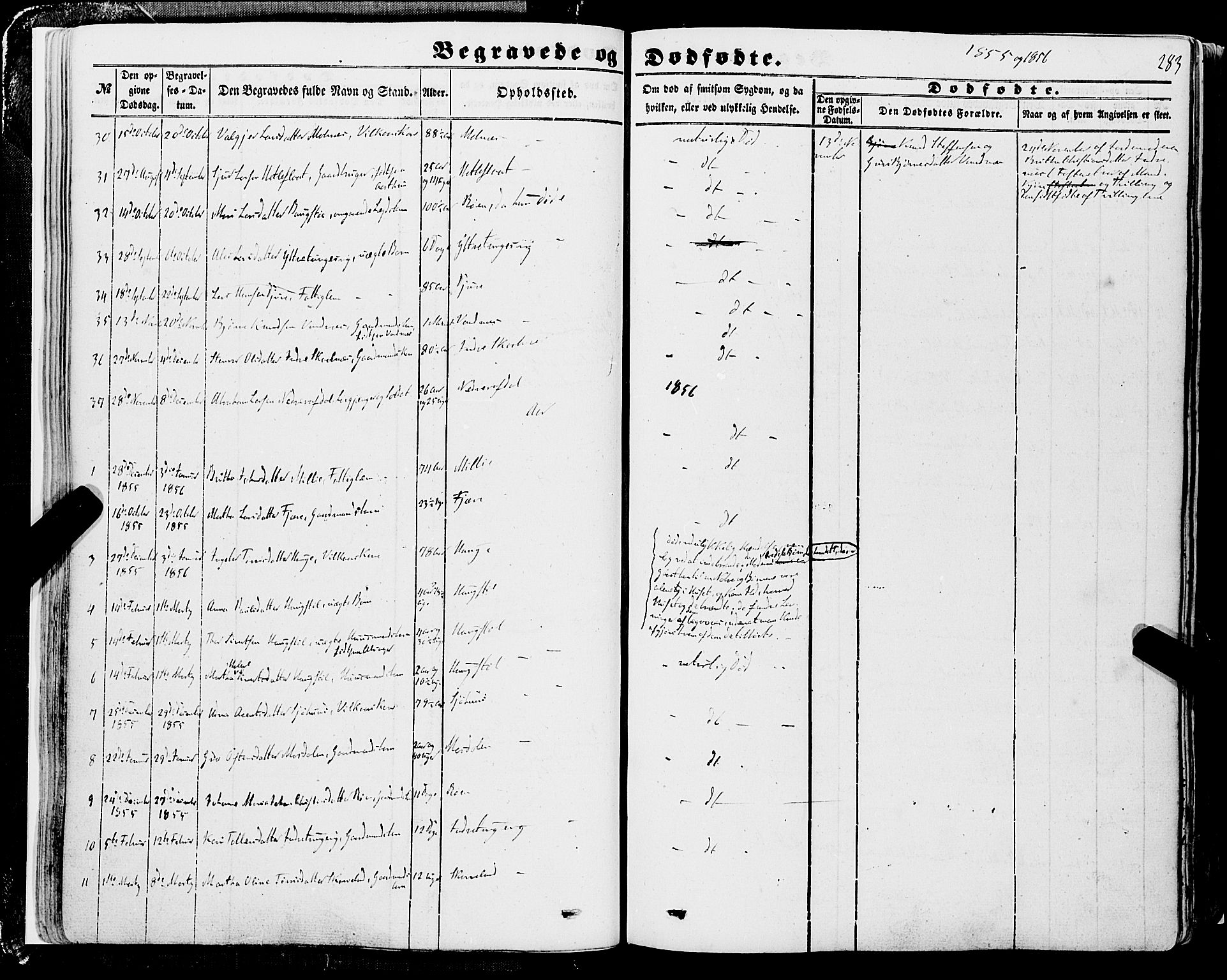 Skånevik sokneprestembete, AV/SAB-A-77801/H/Haa: Parish register (official) no. A 5II, 1848-1869, p. 283