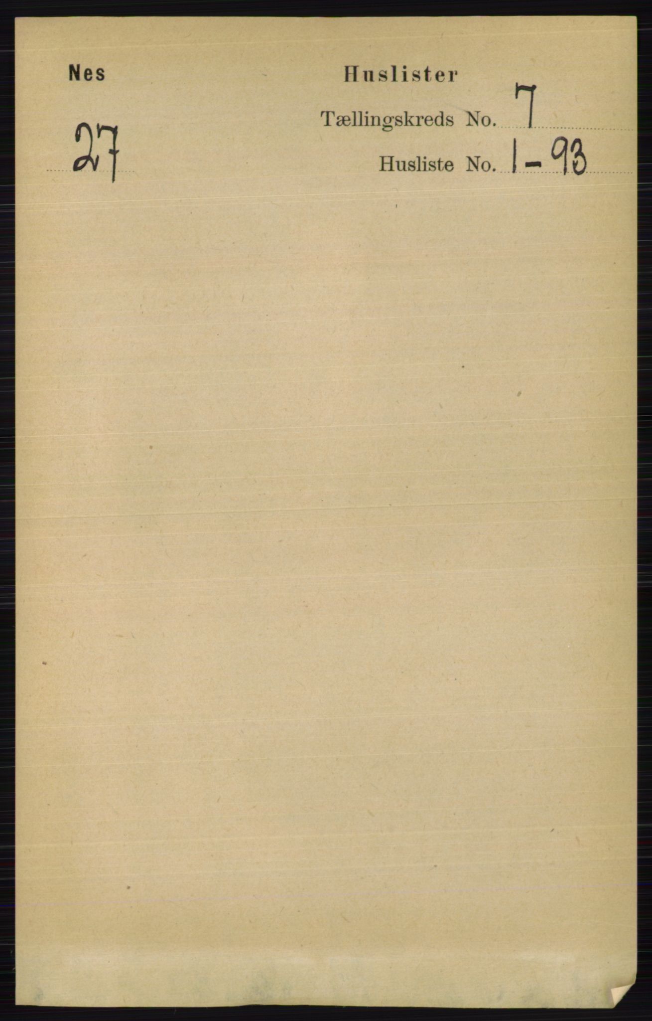 RA, 1891 census for 0411 Nes, 1891, p. 3828