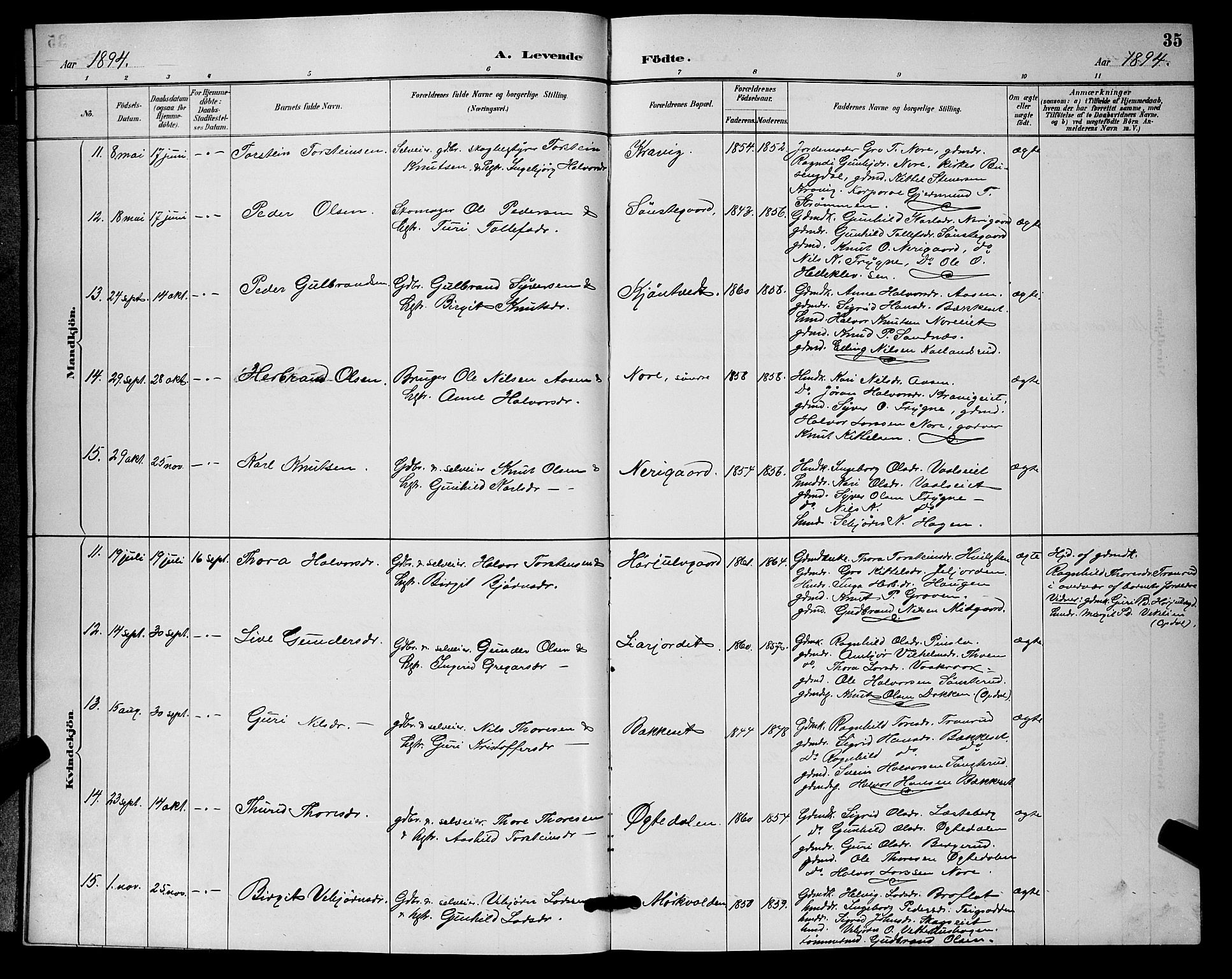 Nore kirkebøker, SAKO/A-238/G/Ga/L0003: Parish register (copy) no. I 3, 1886-1903, p. 35