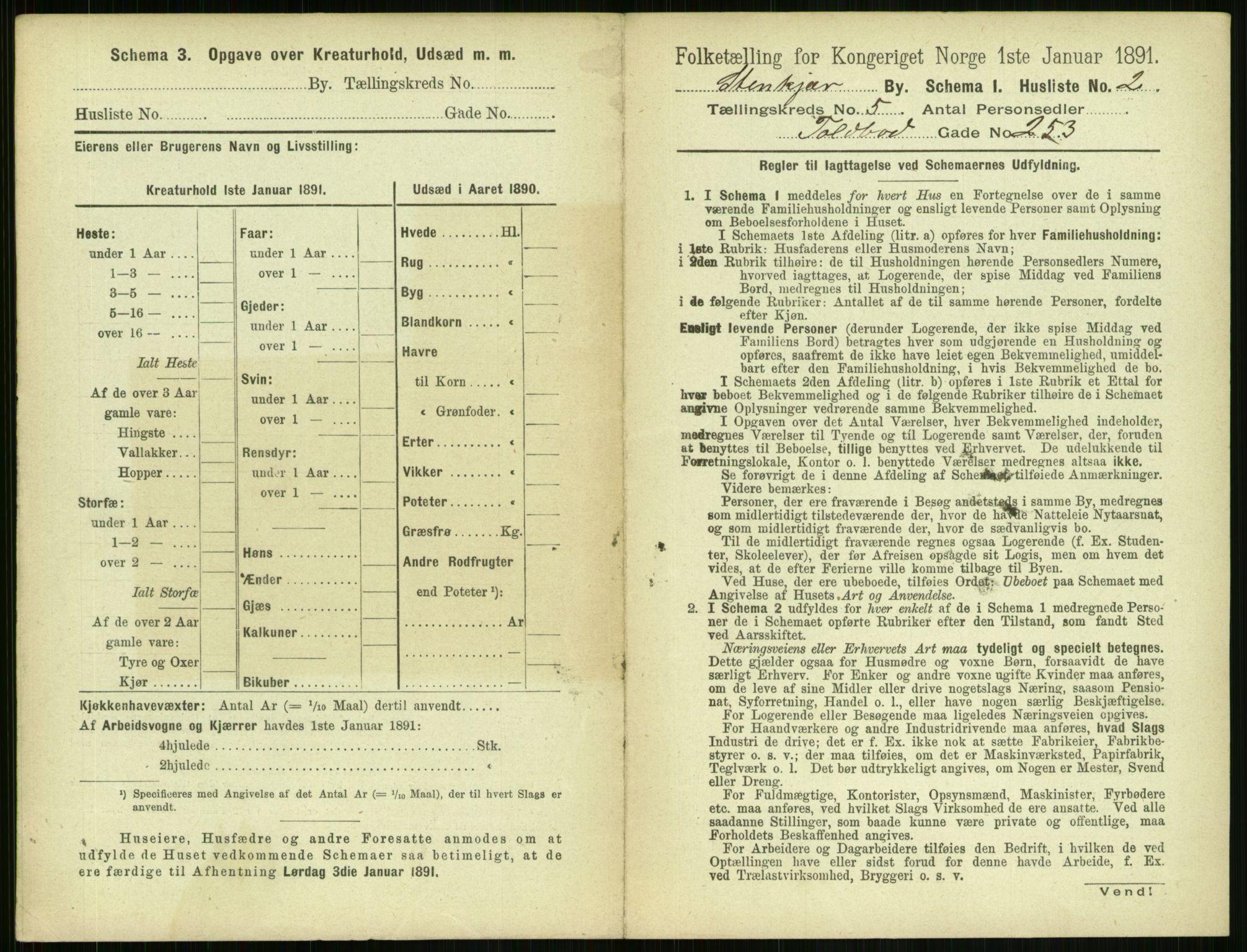 RA, 1891 census for 1702 Steinkjer, 1891, p. 1721