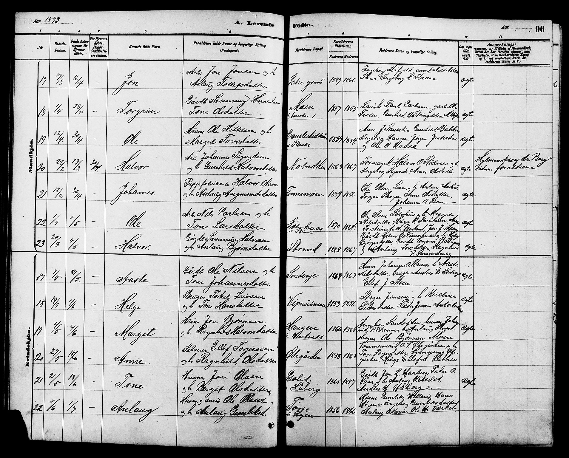 Heddal kirkebøker, AV/SAKO-A-268/G/Ga/L0002: Parish register (copy) no. I 2, 1879-1908, p. 96