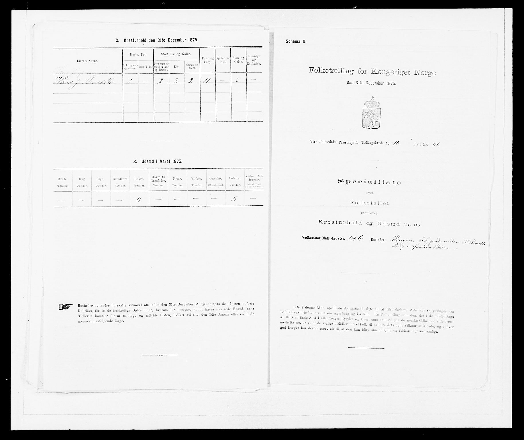 SAB, 1875 census for 1429P Ytre Holmedal, 1875, p. 699