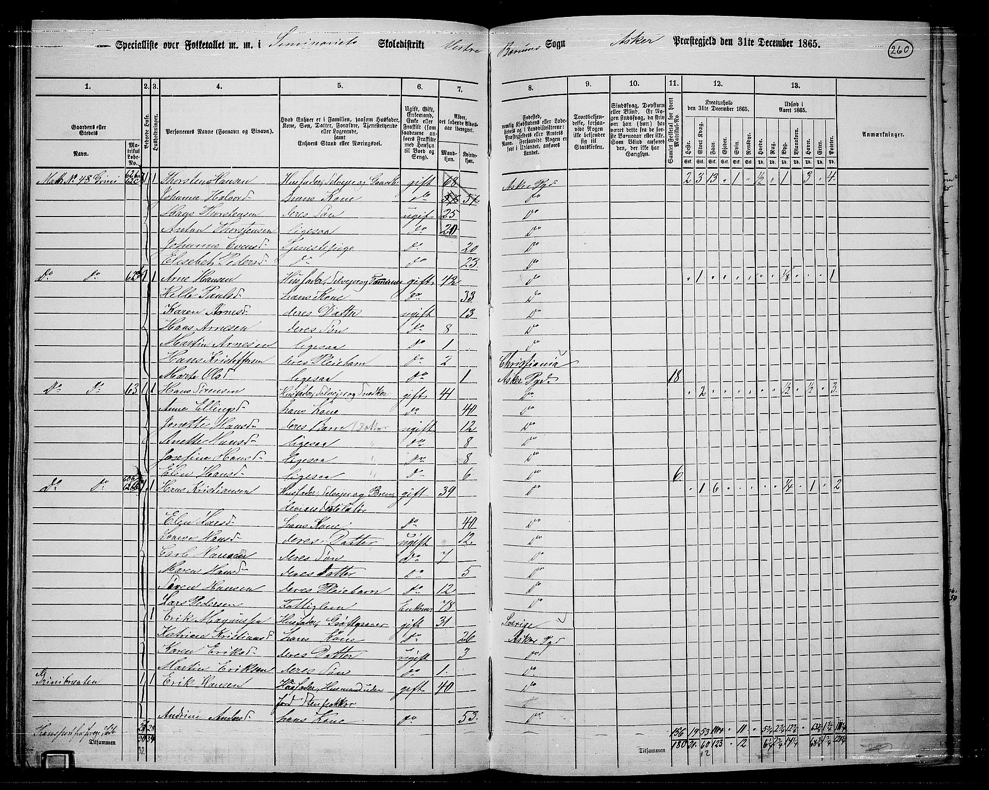 RA, 1865 census for Asker, 1865, p. 248