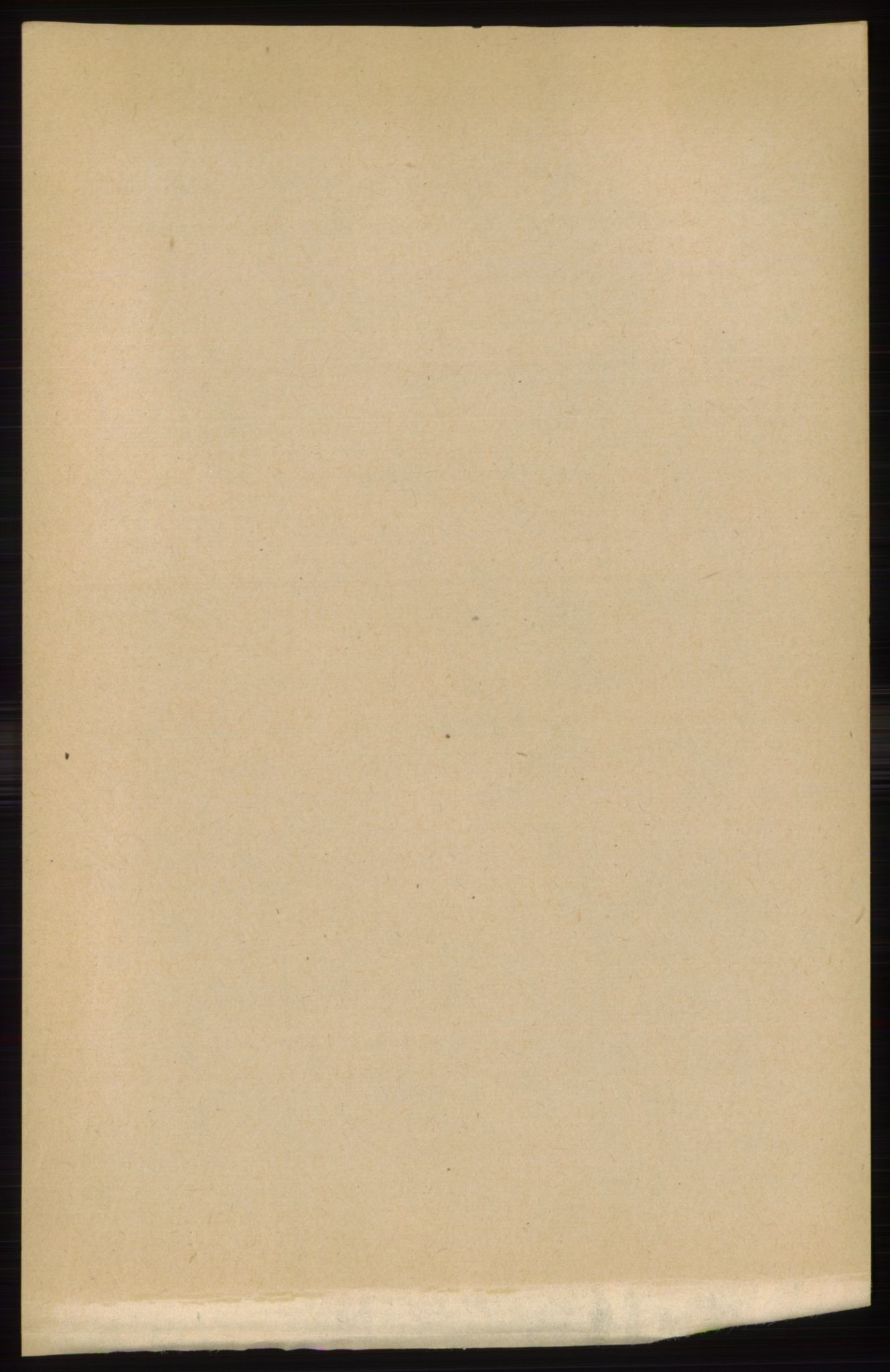 RA, 1891 census for 0433 Øvre Rendal, 1891, p. 816