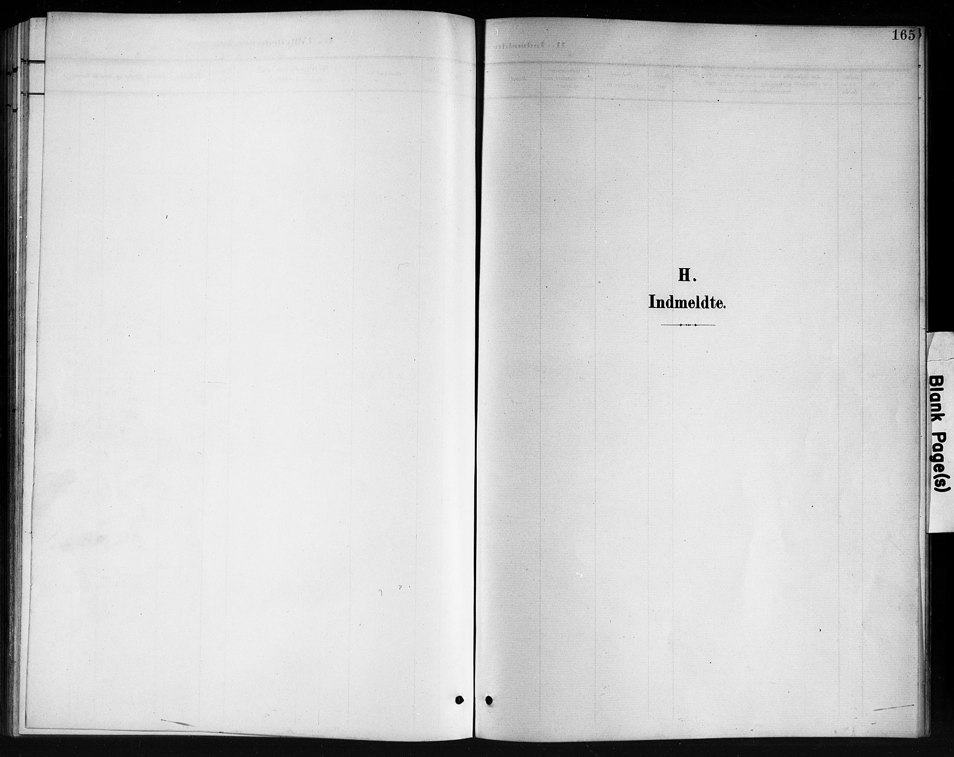 Holum sokneprestkontor, AV/SAK-1111-0022/F/Fb/Fbb/L0004: Parish register (copy) no. B 4, 1899-1920, p. 165