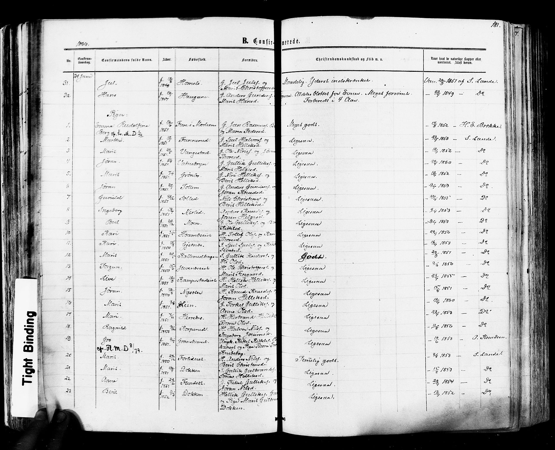Flesberg kirkebøker, SAKO/A-18/F/Fa/L0007: Parish register (official) no. I 7, 1861-1878, p. 181