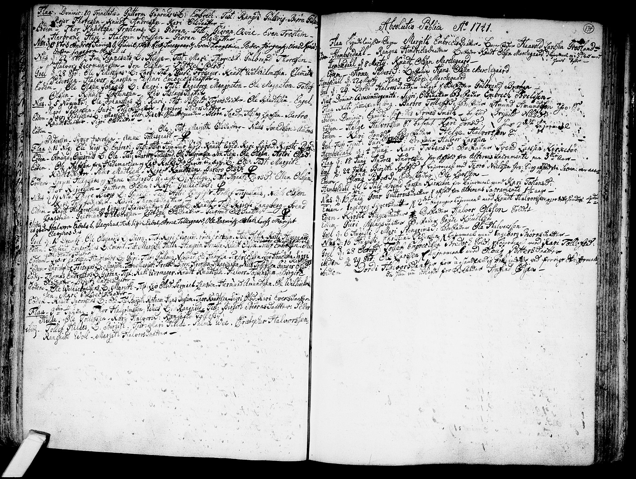 Nes kirkebøker, SAKO/A-236/F/Fa/L0002: Parish register (official) no. 2, 1707-1759, p. 134
