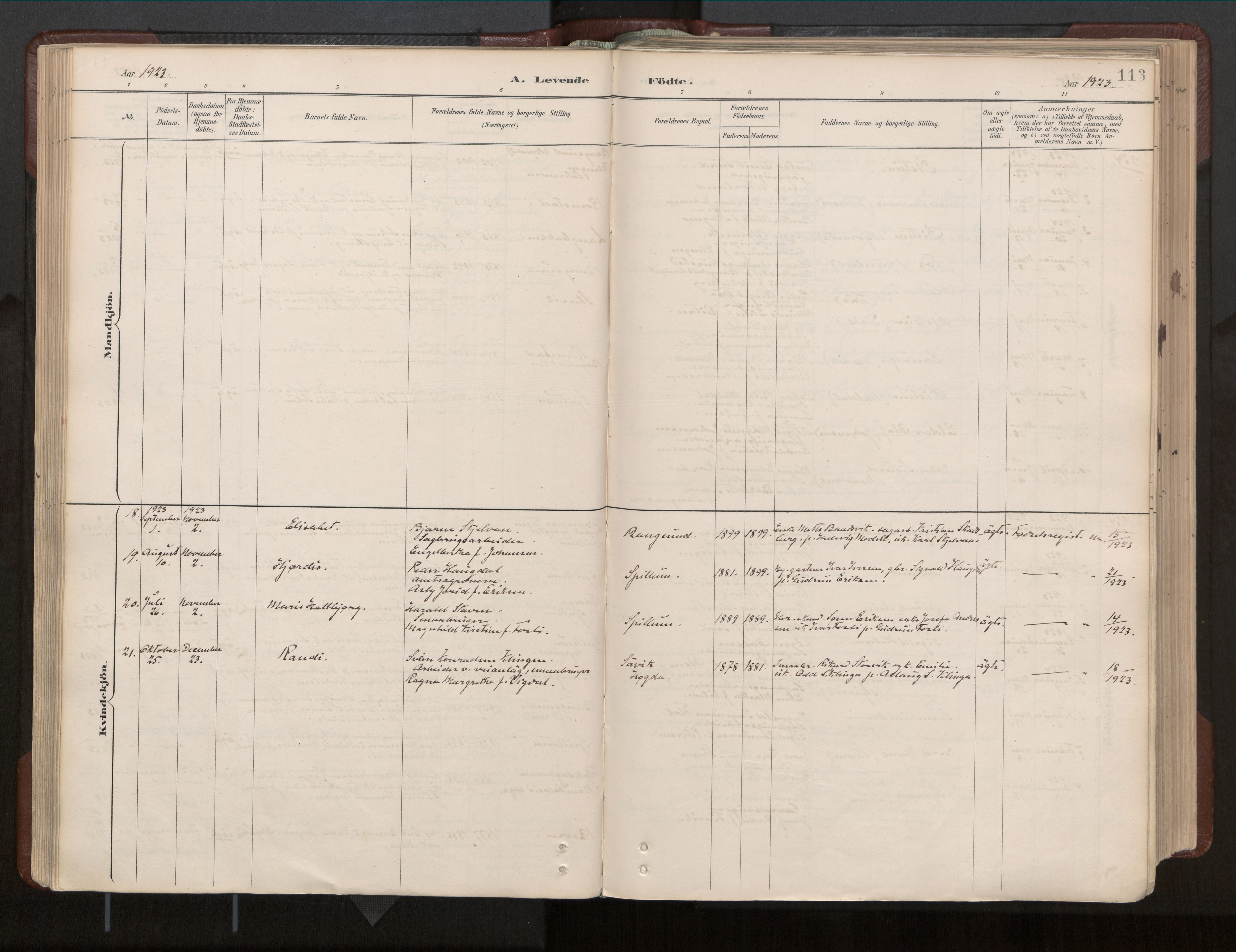 Ministerialprotokoller, klokkerbøker og fødselsregistre - Nord-Trøndelag, AV/SAT-A-1458/770/L0589: Parish register (official) no. 770A03, 1887-1929, p. 113