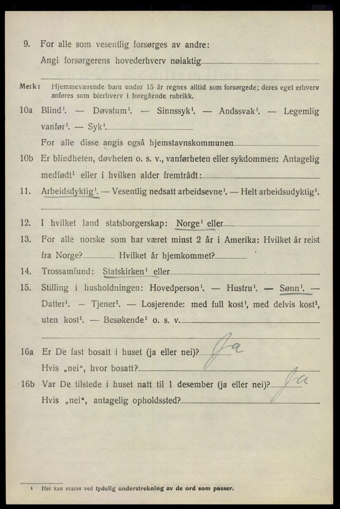 SAO, 1920 census for Sørum, 1920, p. 3788