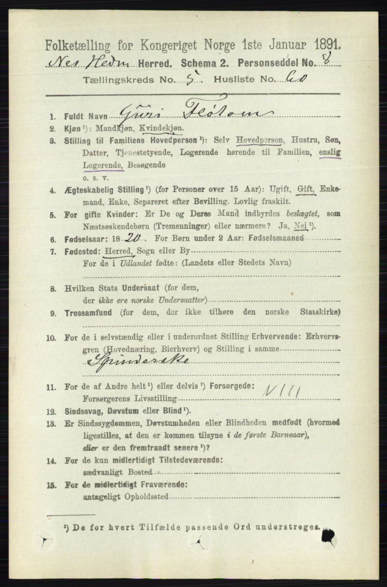 RA, 1891 census for 0411 Nes, 1891, p. 2997
