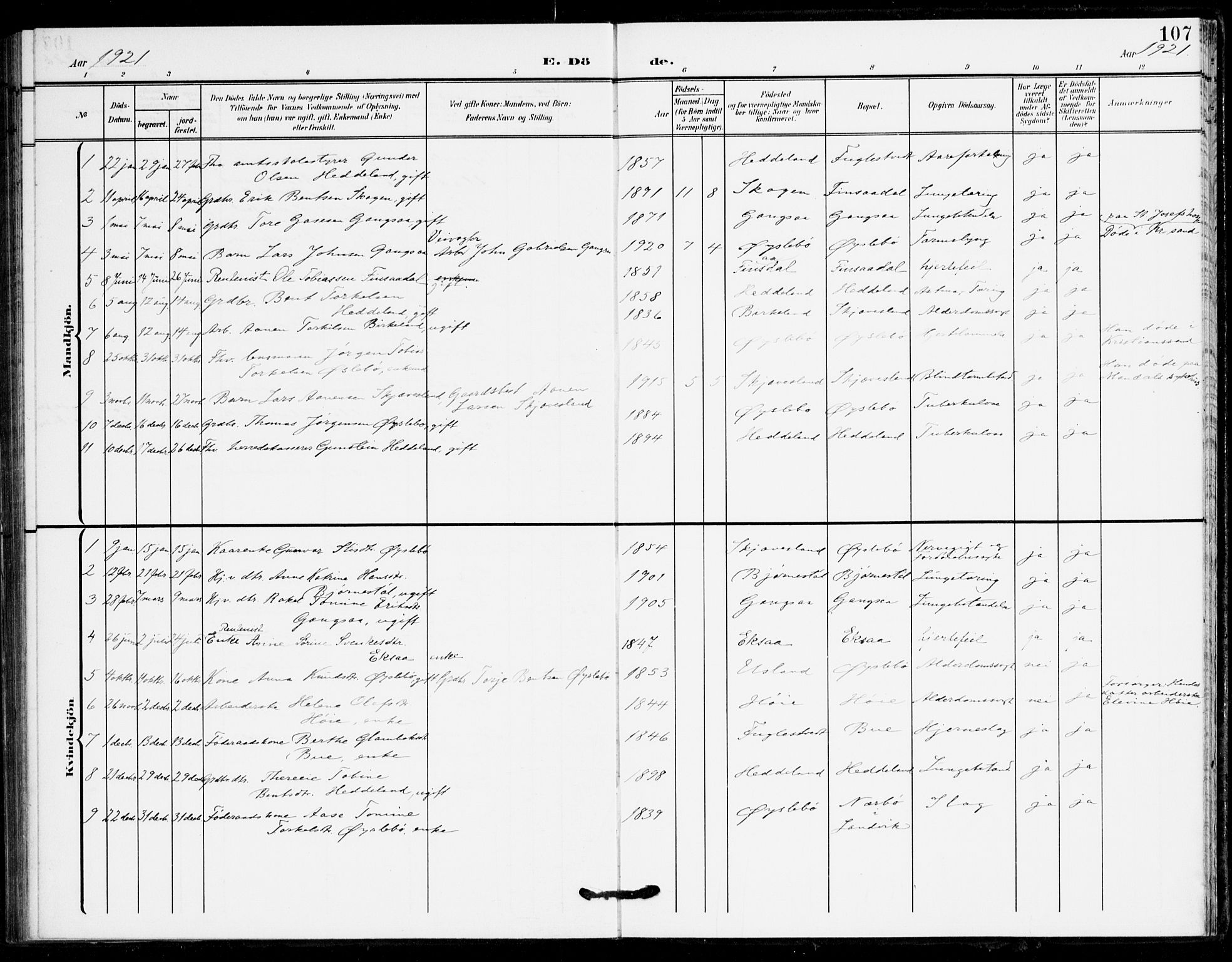 Holum sokneprestkontor, AV/SAK-1111-0022/F/Fa/Fac/L0005: Parish register (official) no. A 5, 1908-1930, p. 107