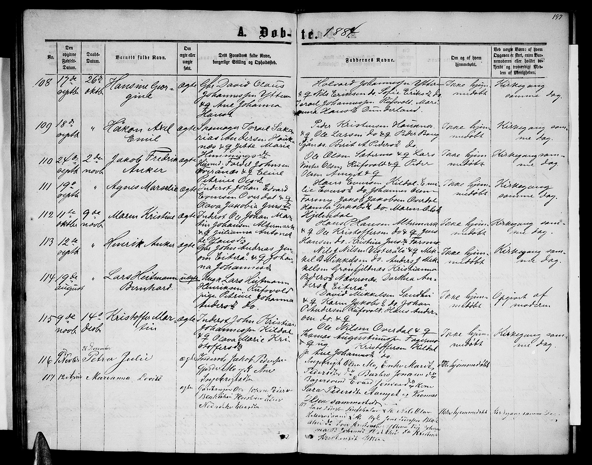 Ministerialprotokoller, klokkerbøker og fødselsregistre - Nordland, SAT/A-1459/827/L0415: Parish register (copy) no. 827C04, 1864-1886, p. 197