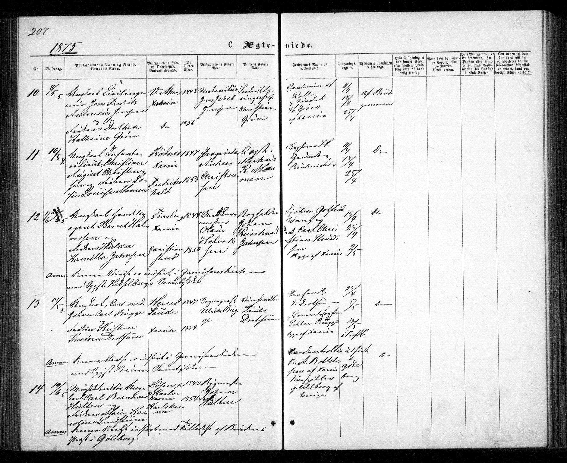 Garnisonsmenigheten Kirkebøker, SAO/A-10846/G/Ga/L0006: Parish register (copy) no. 6, 1860-1880, p. 207