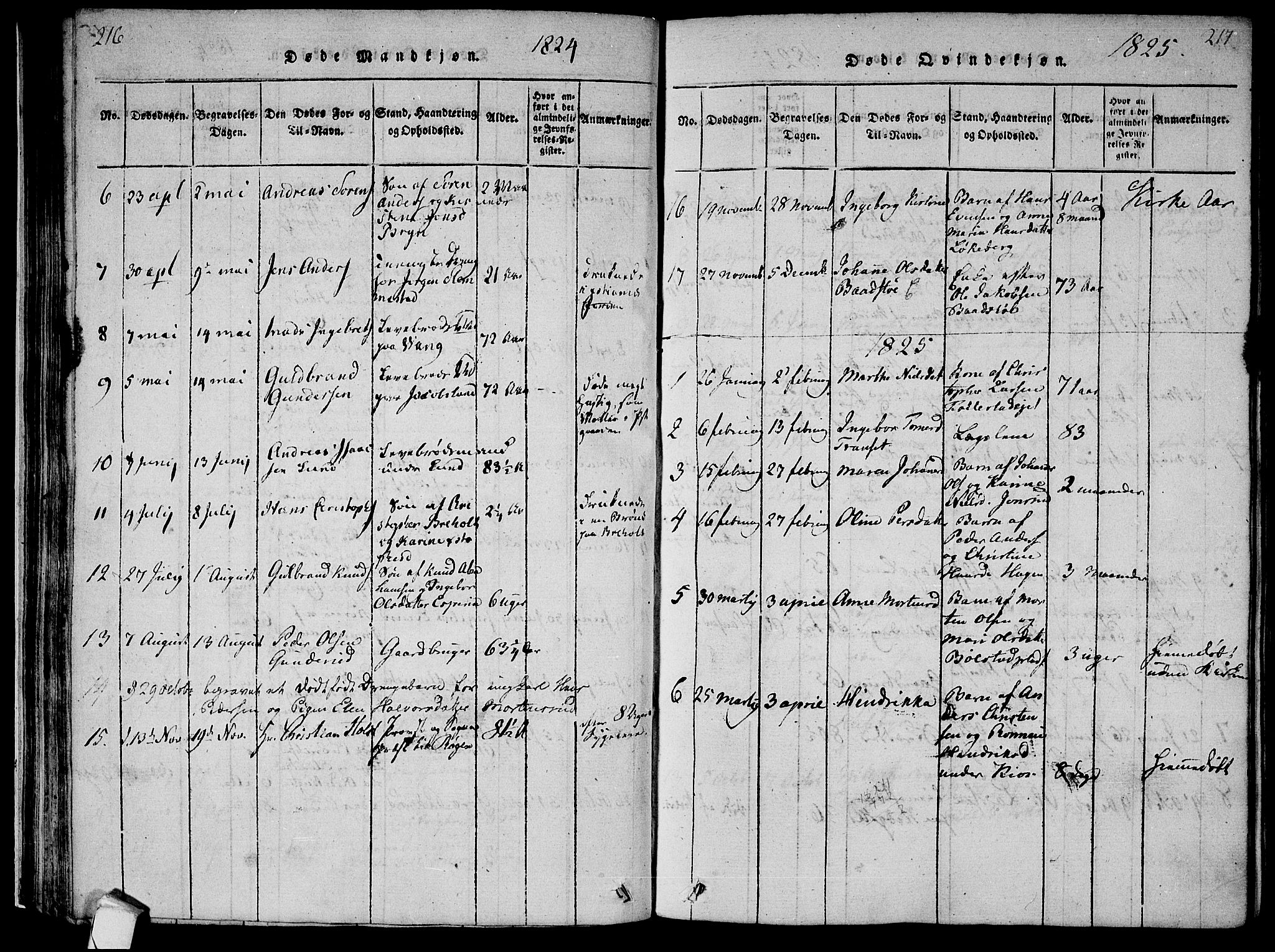 Røyken kirkebøker, SAKO/A-241/F/Fa/L0004: Parish register (official) no. 4, 1814-1832, p. 216-217