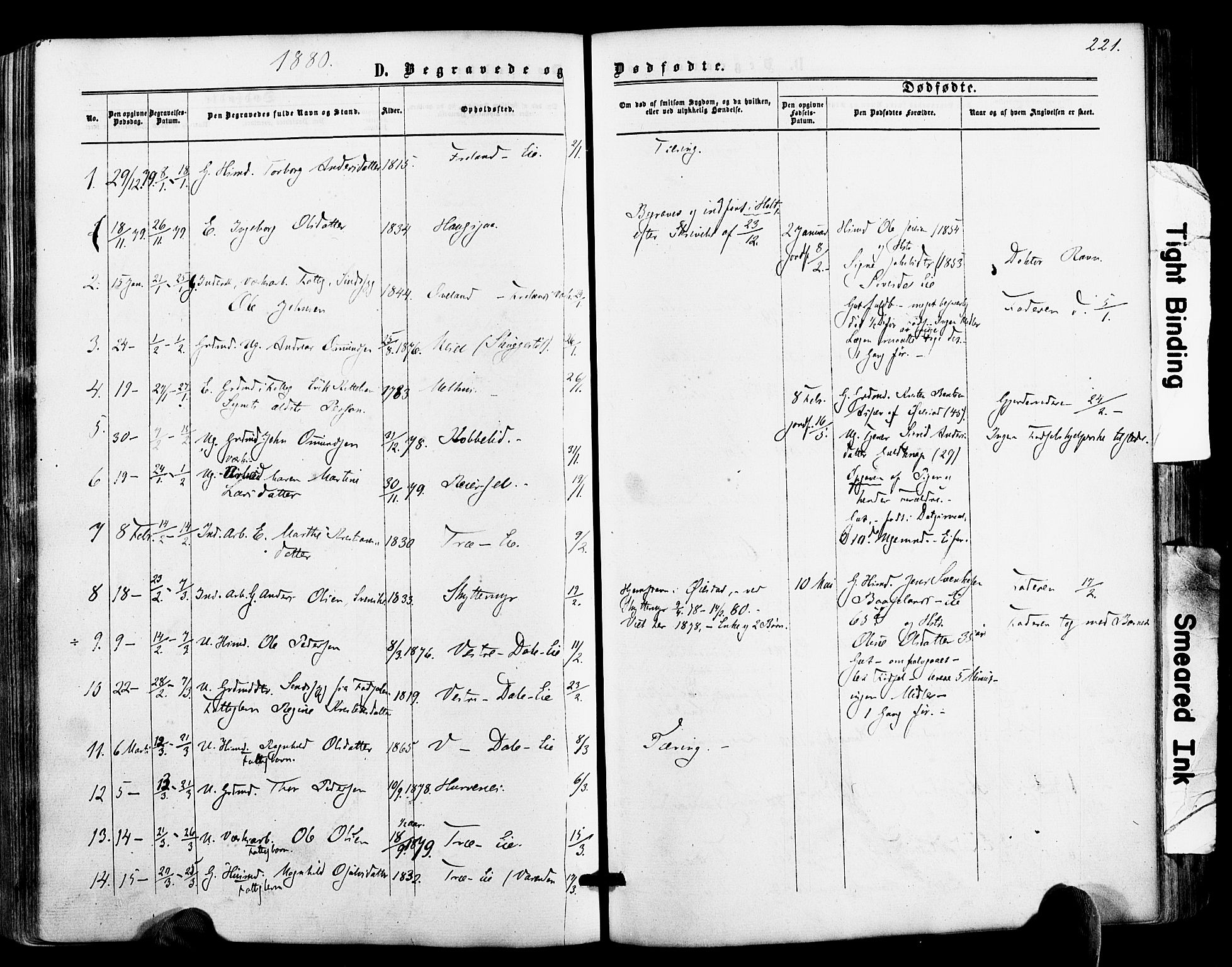 Froland sokneprestkontor, AV/SAK-1111-0013/F/Fa/L0003: Parish register (official) no. A 3, 1864-1881, p. 221