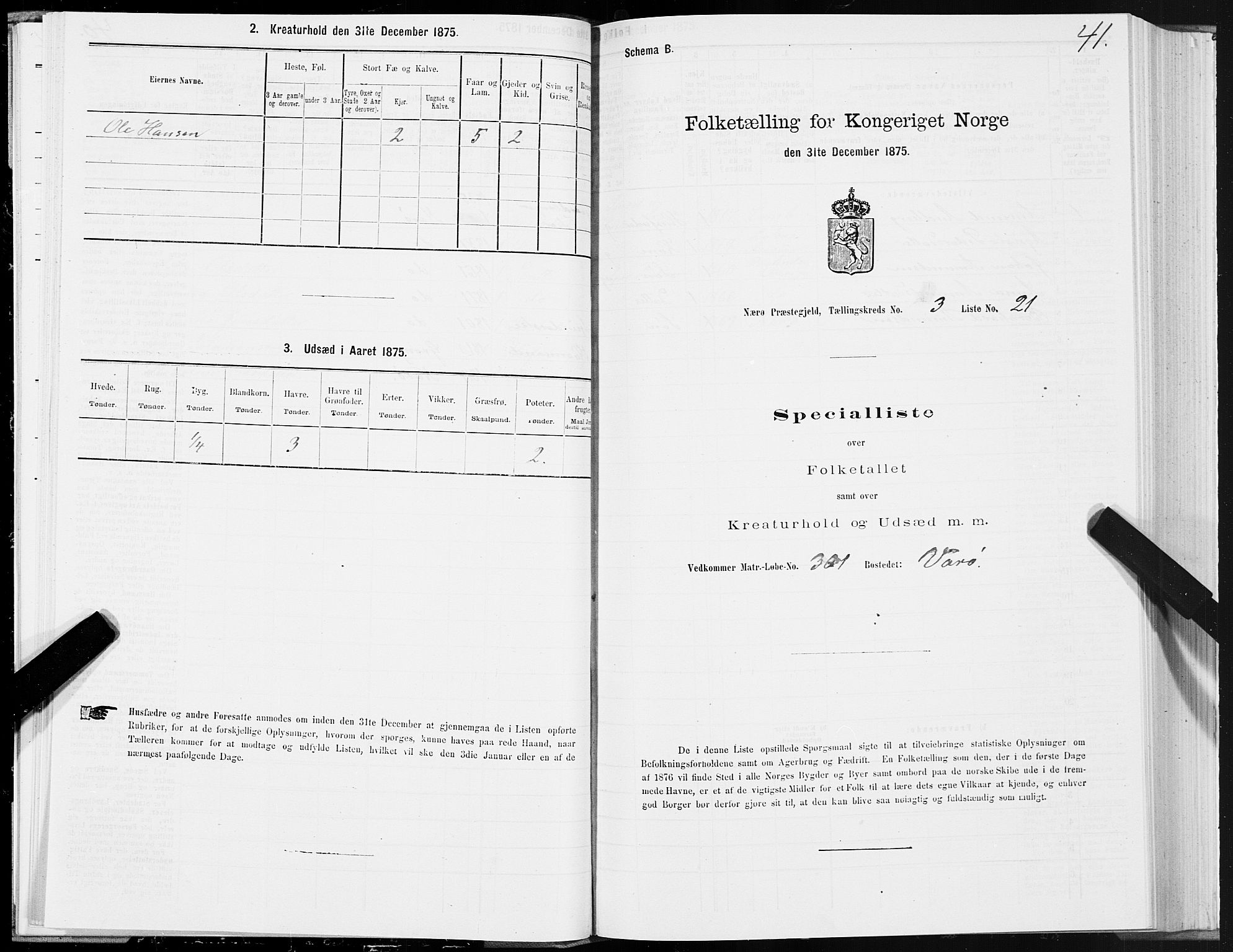 SAT, 1875 census for 1751P Nærøy, 1875, p. 2041