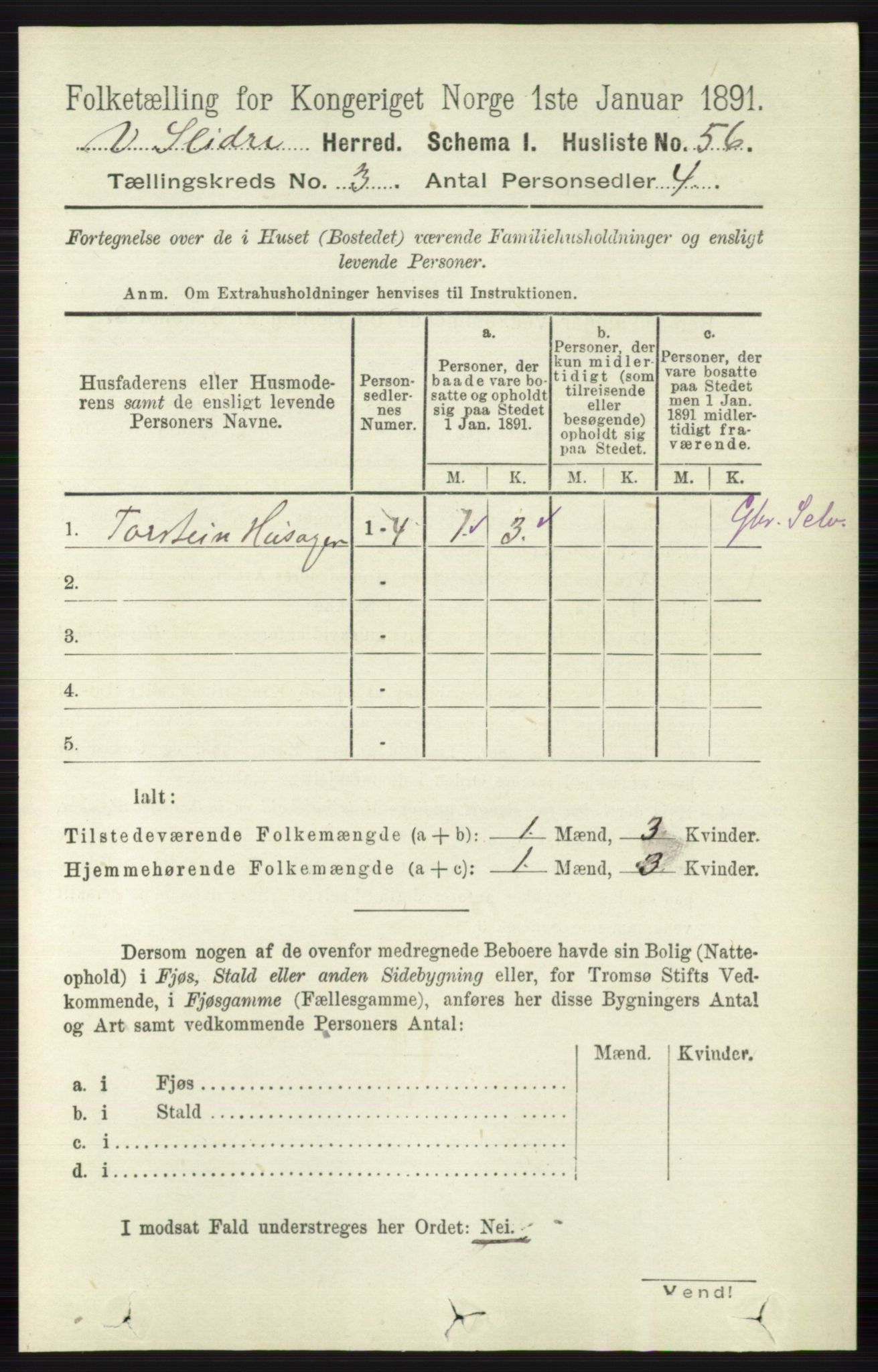 RA, 1891 census for 0543 Vestre Slidre, 1891, p. 819