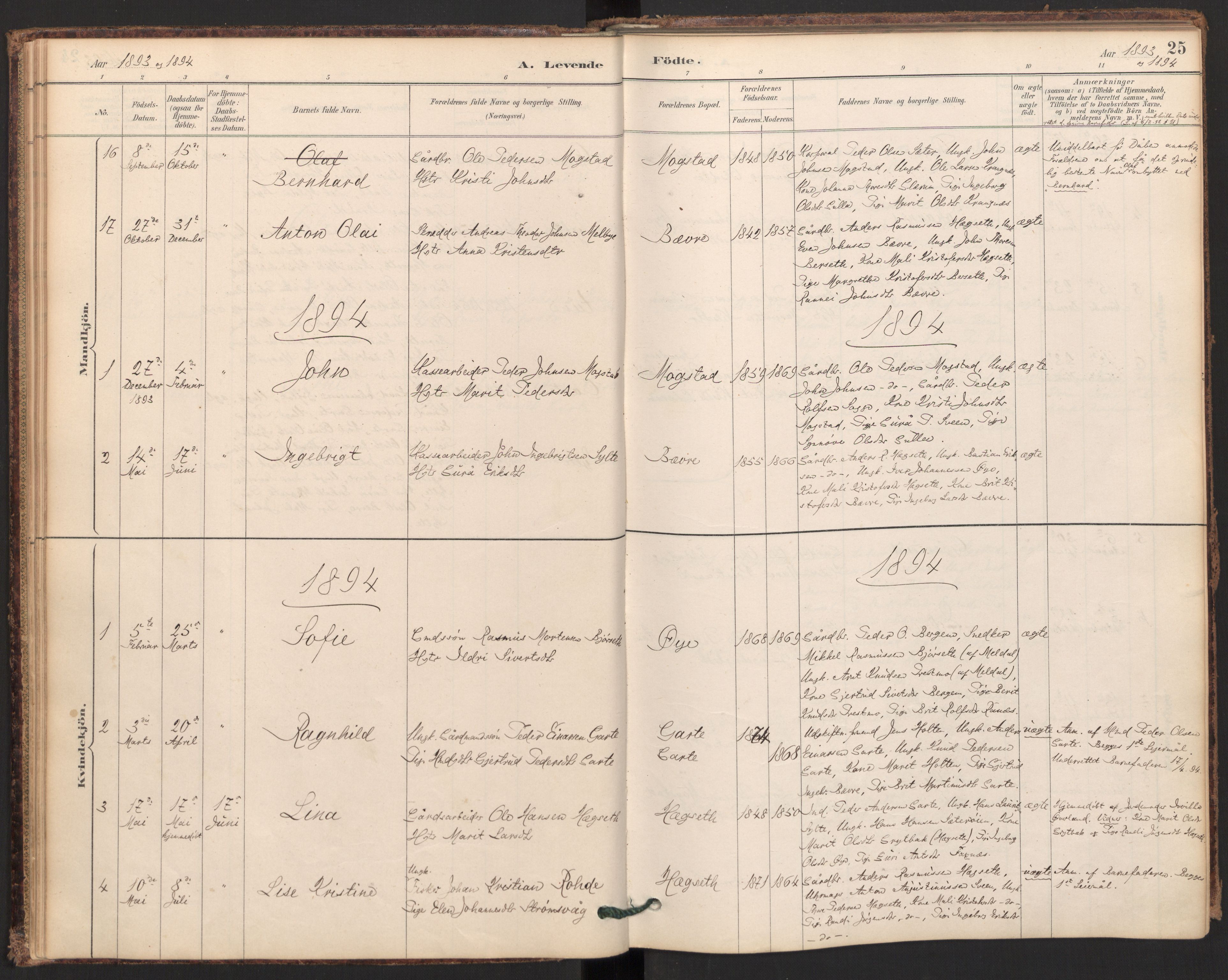 Ministerialprotokoller, klokkerbøker og fødselsregistre - Møre og Romsdal, SAT/A-1454/595/L1047: Parish register (official) no. 595A09, 1885-1900, p. 25
