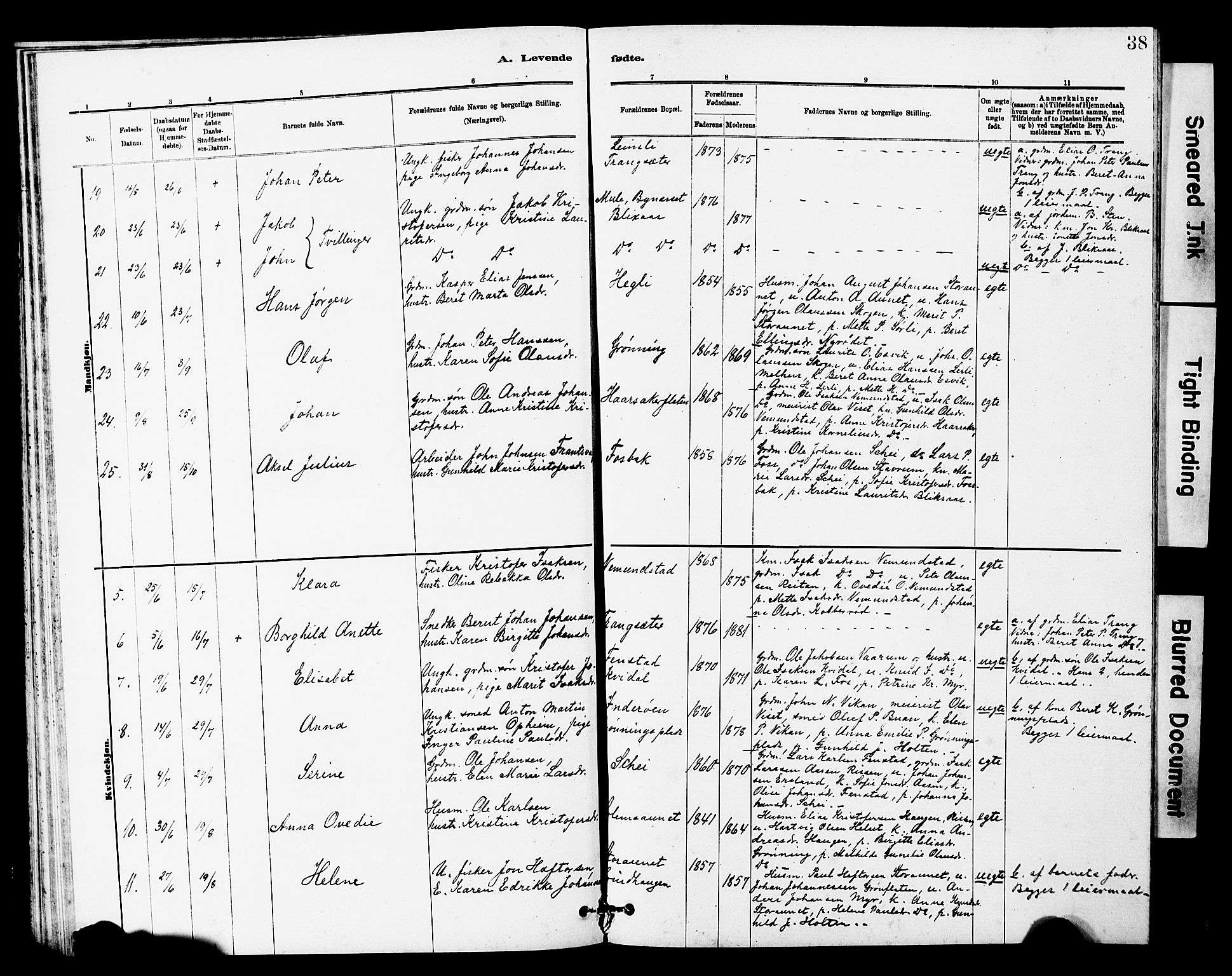 Ministerialprotokoller, klokkerbøker og fødselsregistre - Sør-Trøndelag, SAT/A-1456/646/L0628: Parish register (copy) no. 646C01, 1880-1903, p. 38