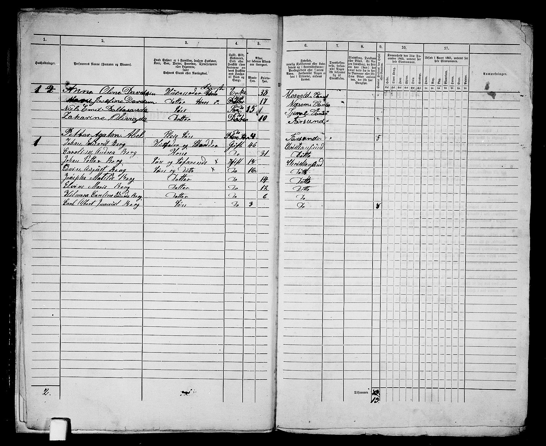 RA, 1865 census for Vanse/Farsund, 1865, p. 10