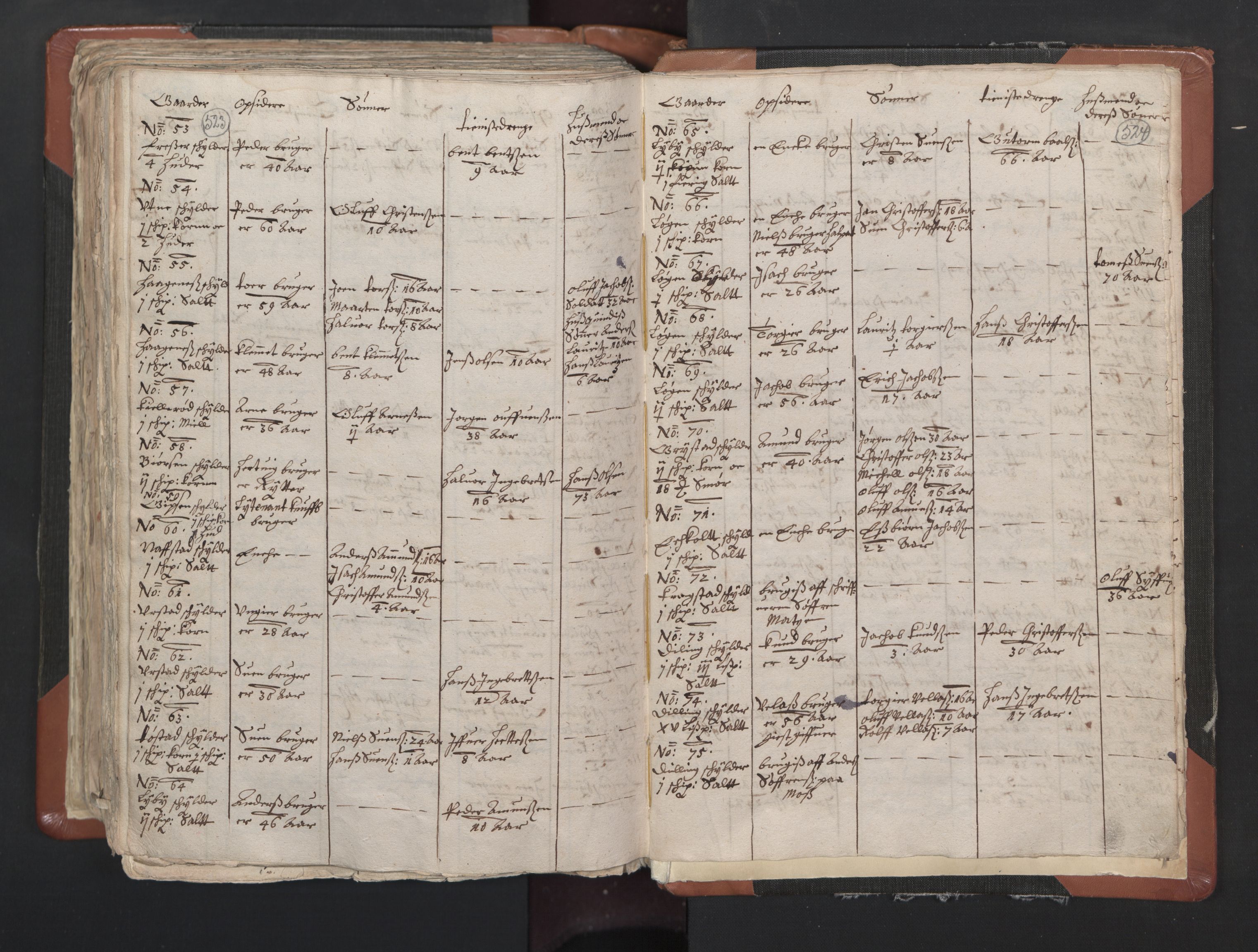 RA, Vicar's Census 1664-1666, no. 1: Nedre Borgesyssel deanery, 1664-1666, p. 523-524