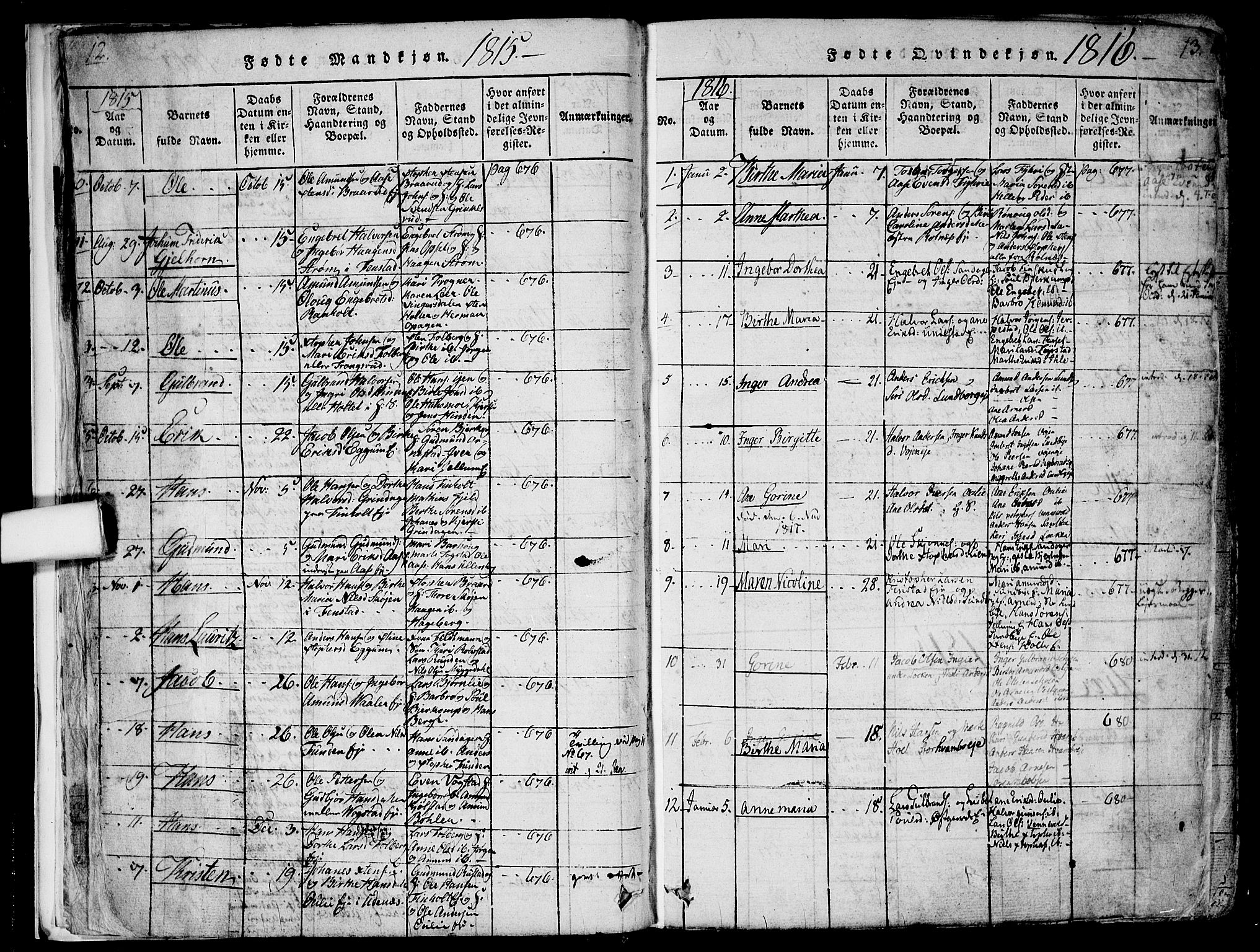 Nes prestekontor Kirkebøker, SAO/A-10410/F/Fa/L0005: Parish register (official) no. I 5, 1815-1835, p. 12-13