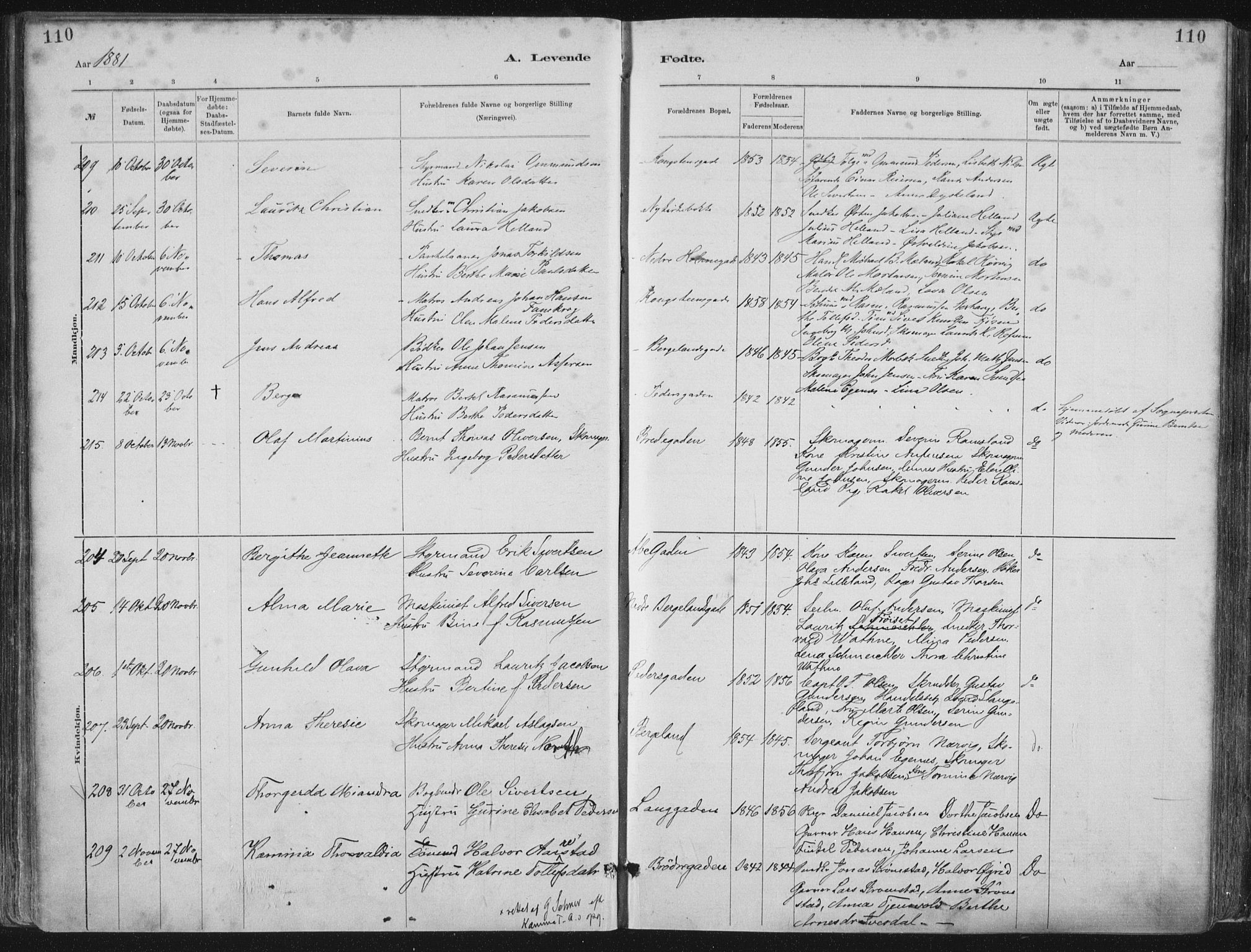 St. Petri sokneprestkontor, AV/SAST-A-101813/001/30/30BA/L0015: Parish register (official) no. A 15, 1879-1888, p. 110