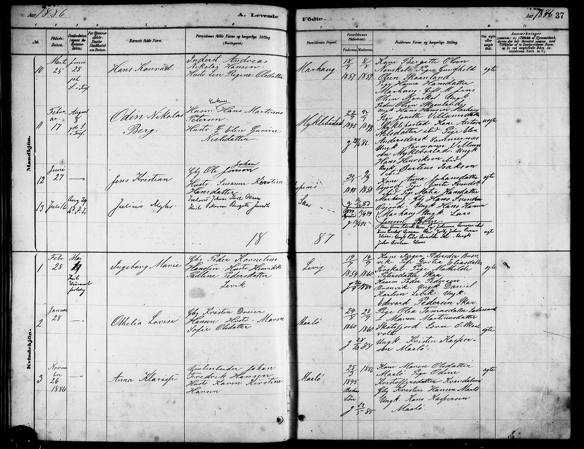 Ministerialprotokoller, klokkerbøker og fødselsregistre - Nordland, AV/SAT-A-1459/857/L0828: Parish register (copy) no. 857C03, 1879-1908, p. 37