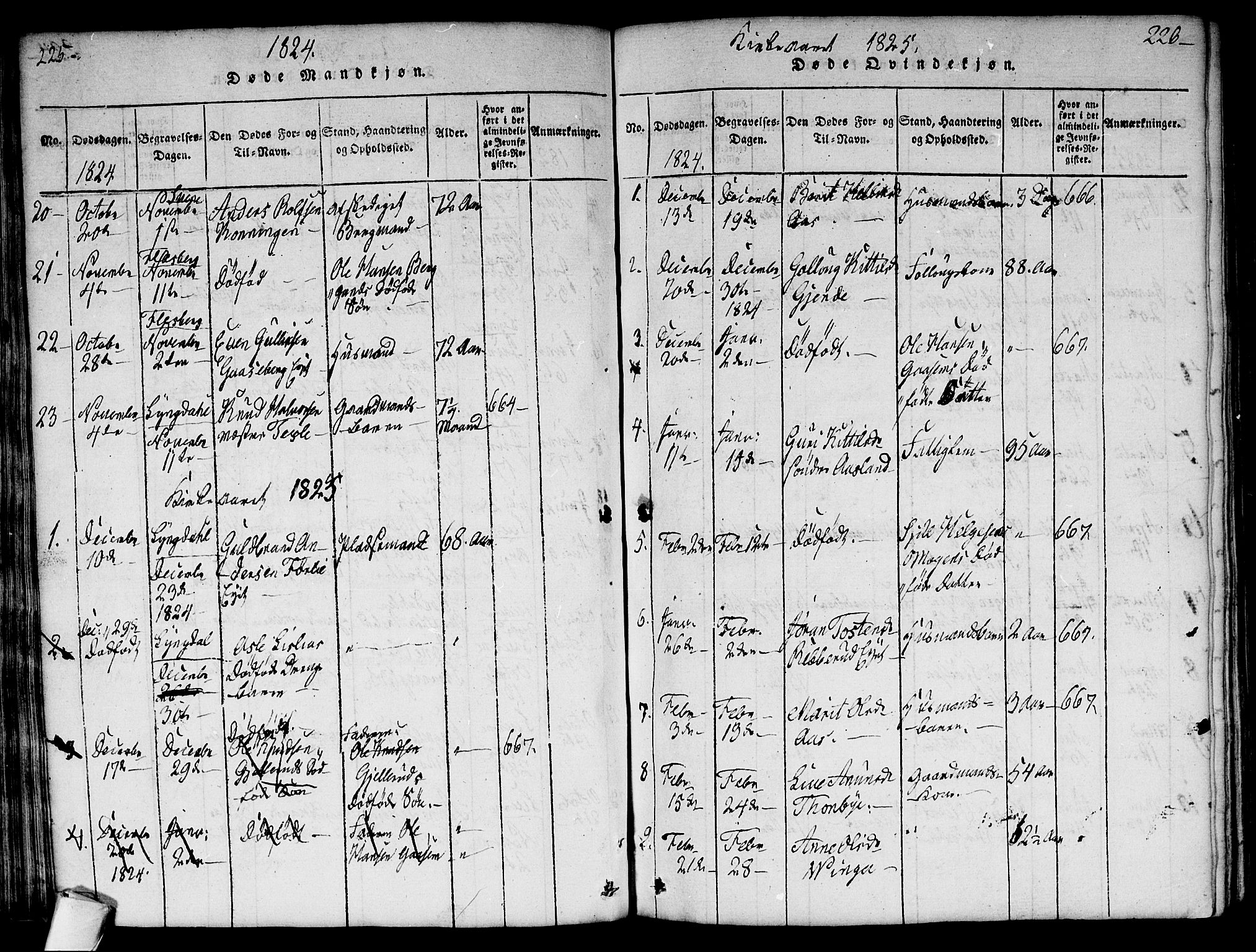 Flesberg kirkebøker, SAKO/A-18/G/Ga/L0001: Parish register (copy) no. I 1, 1816-1834, p. 225-226