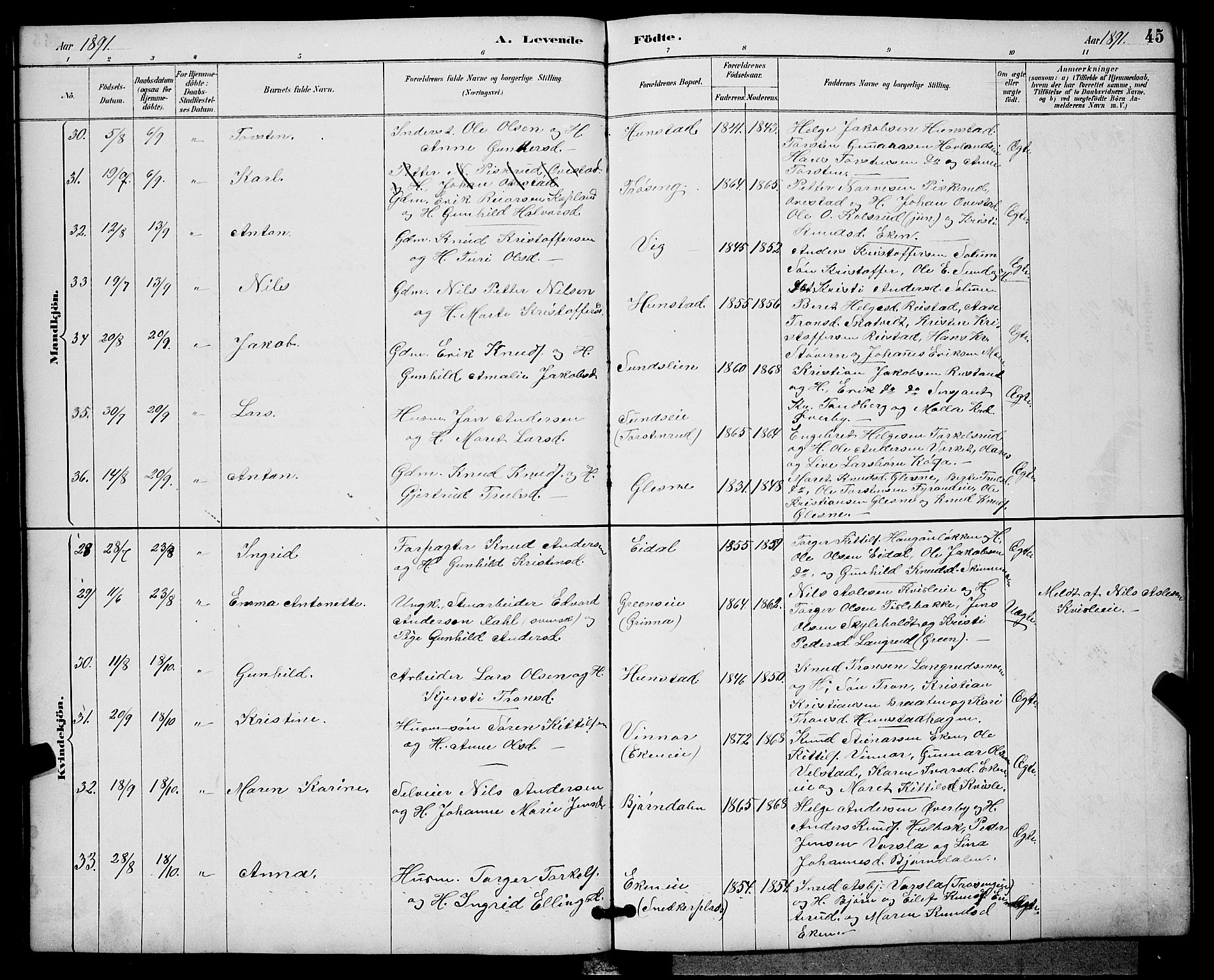 Sigdal kirkebøker, AV/SAKO-A-245/G/Ga/L0005: Parish register (copy) no. I 5, 1886-1900, p. 45