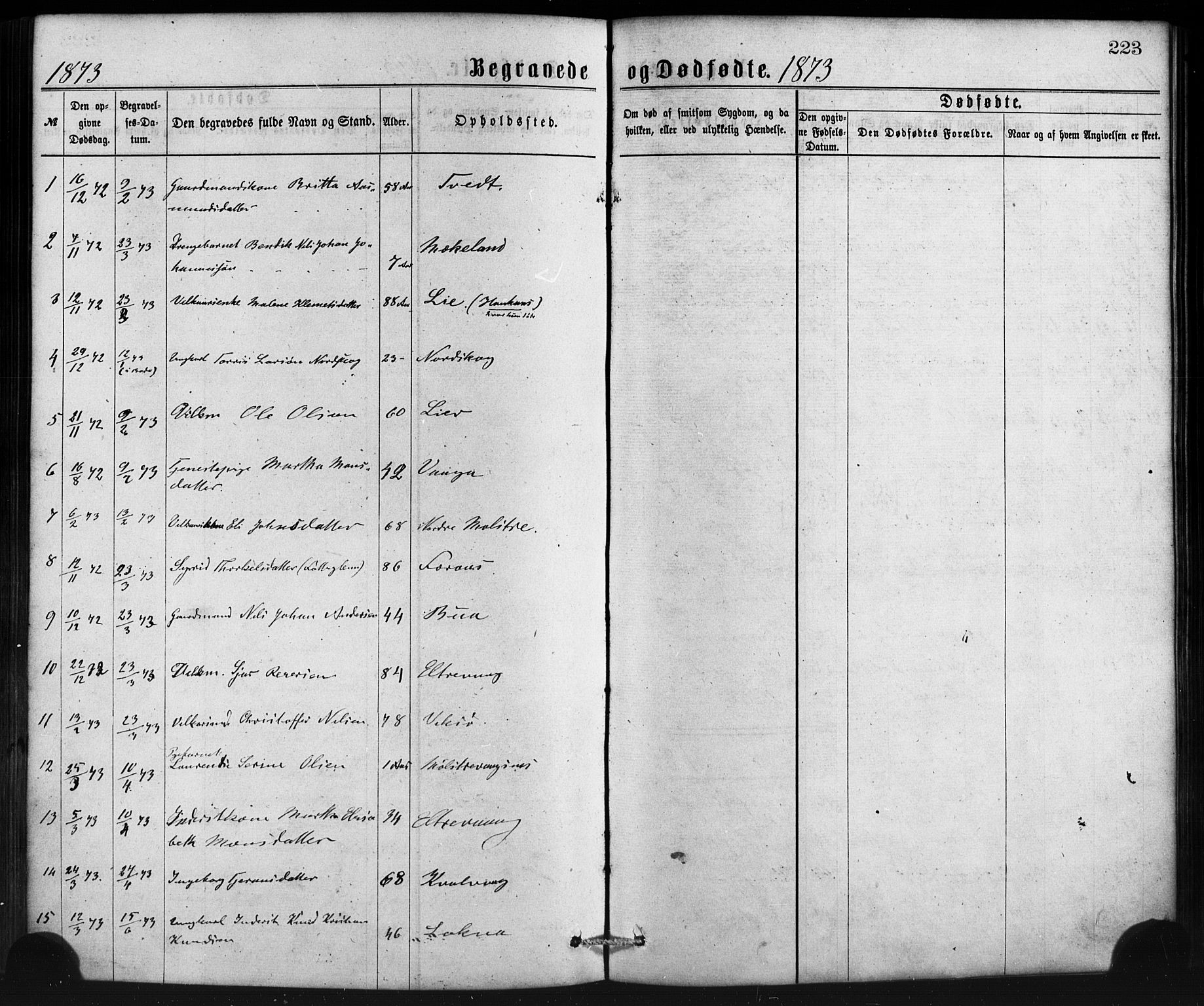 Sveio Sokneprestembete, AV/SAB-A-78501/H/Haa: Parish register (official) no. B 1, 1870-1883, p. 223