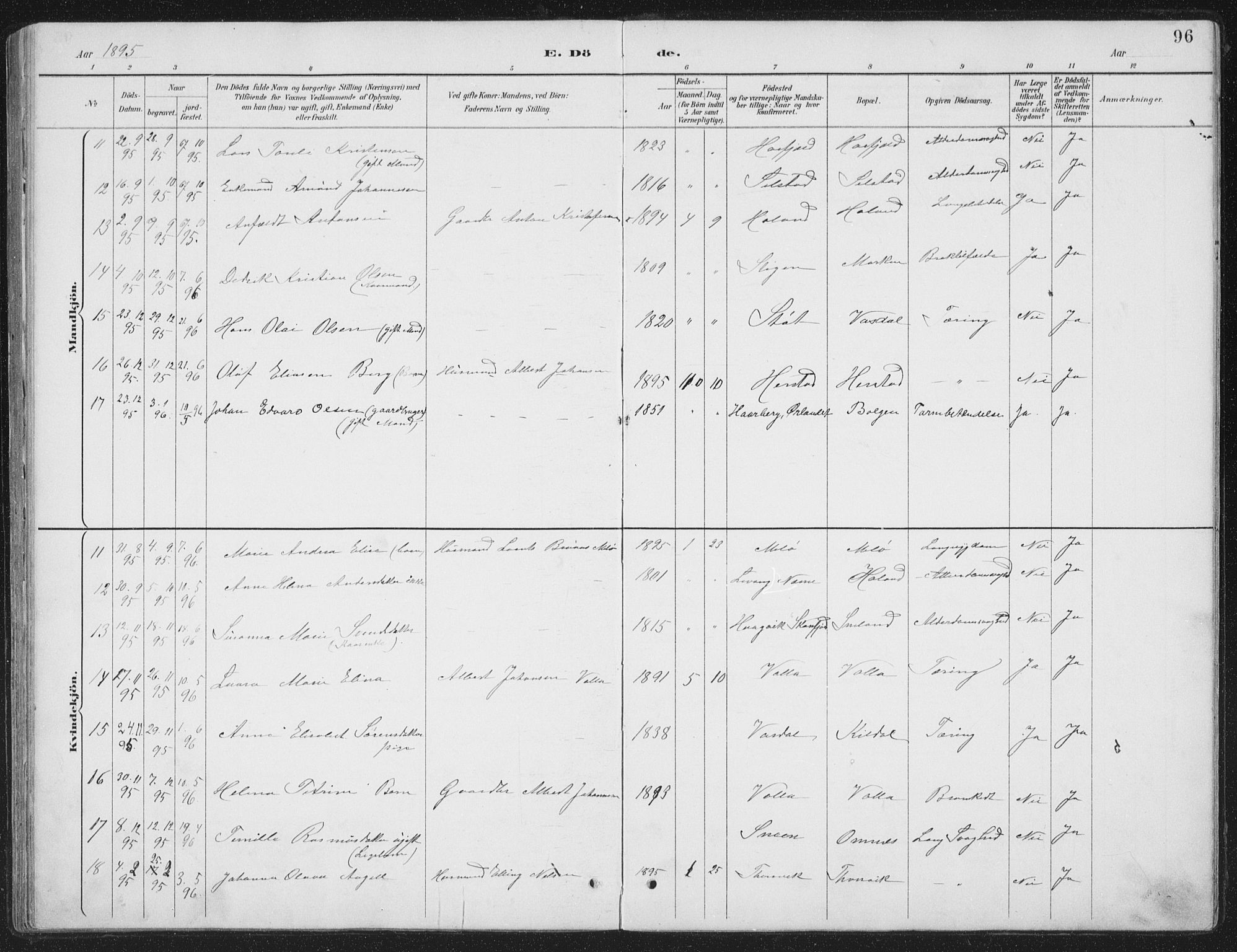 Ministerialprotokoller, klokkerbøker og fødselsregistre - Nordland, AV/SAT-A-1459/843/L0638: Parish register (copy) no. 843C07, 1888-1907, p. 96