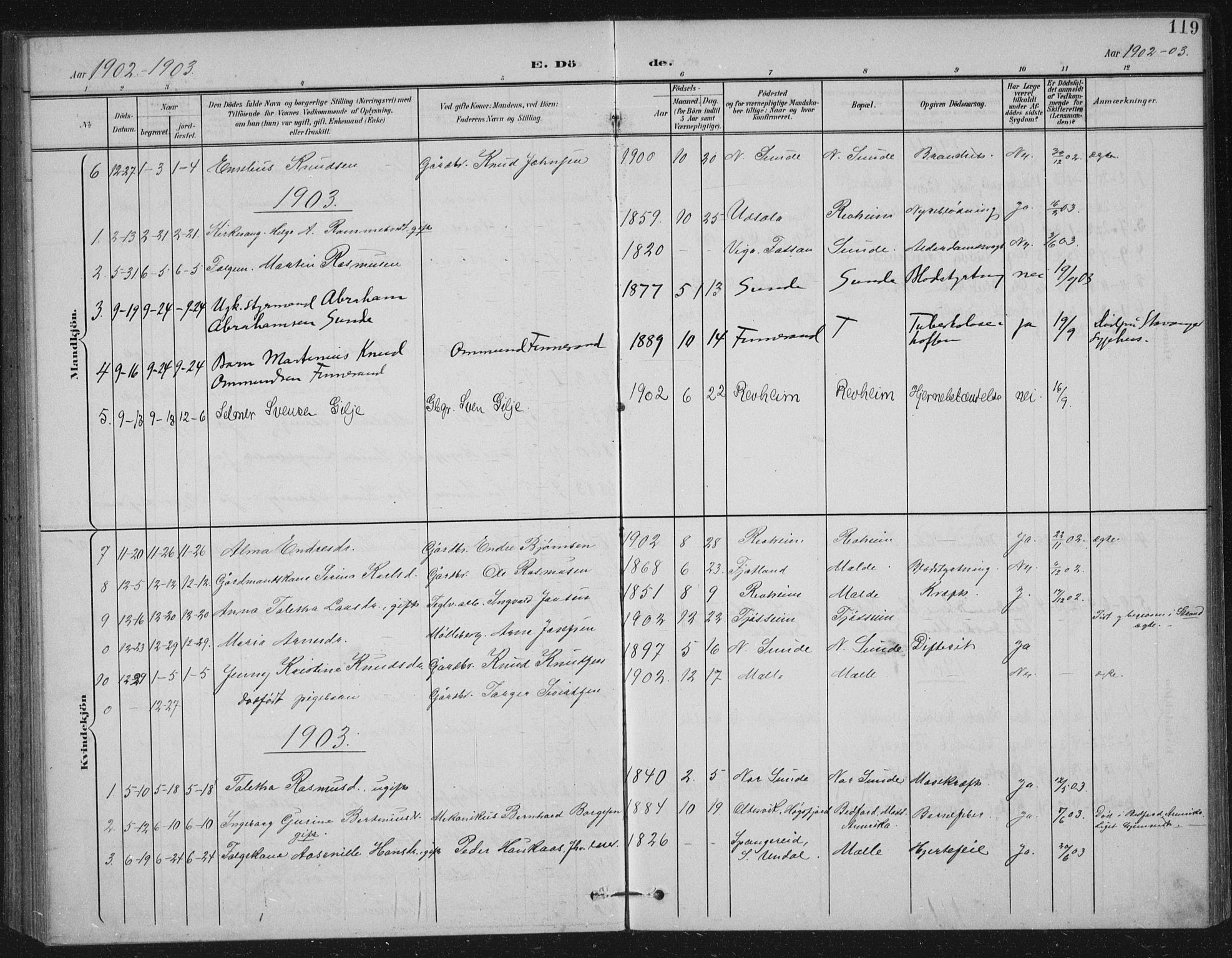 Håland sokneprestkontor, SAST/A-101802/002/B/L0001: Parish register (official) no. A 13, 1901-1923, p. 119