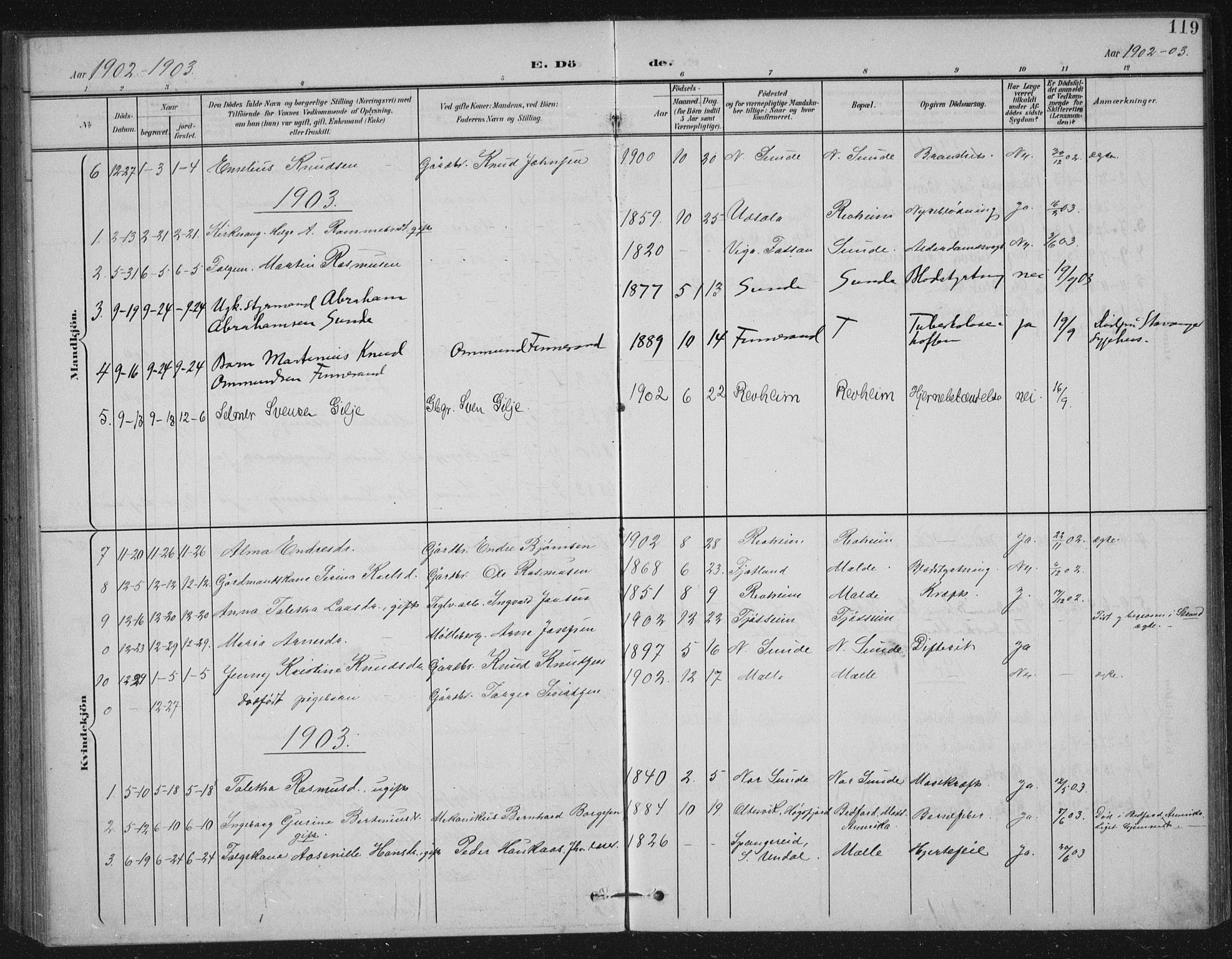 Håland sokneprestkontor, AV/SAST-A-101802/002/B/L0001: Parish register (official) no. A 13, 1901-1923, p. 119