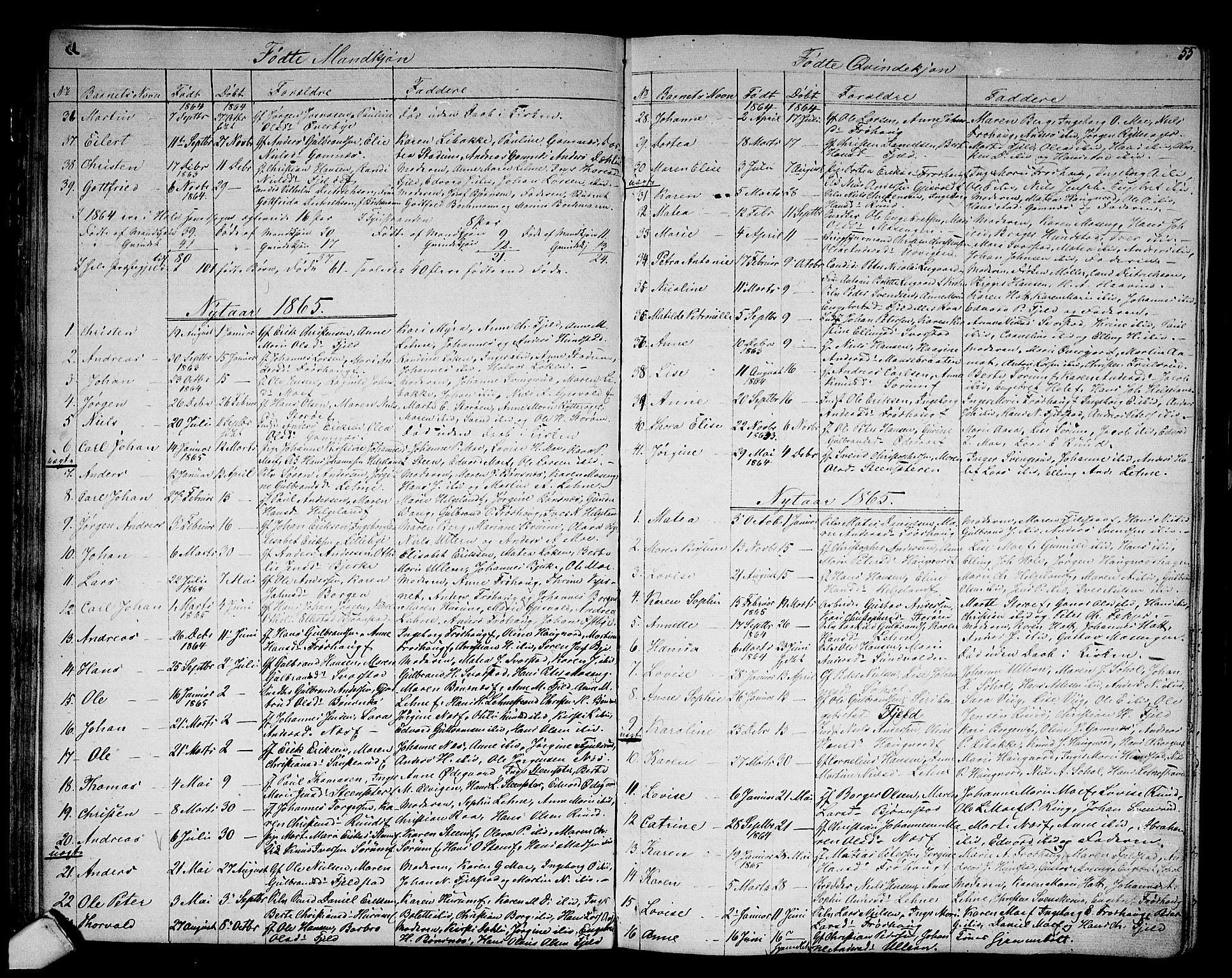 Hole kirkebøker, AV/SAKO-A-228/G/Ga/L0002: Parish register (copy) no. I 2, 1842-1878, p. 55