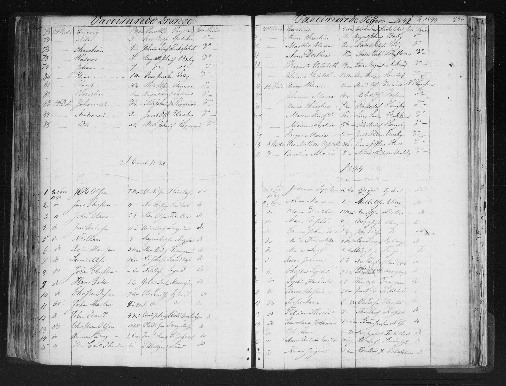 Aremark prestekontor Kirkebøker, SAO/A-10899/F/Fc/L0002: Parish register (official) no. III 2, 1834-1849, p. 236
