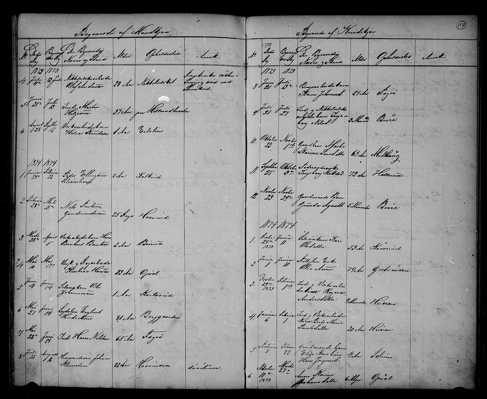 Hole kirkebøker, SAKO/A-228/G/Gb/L0001: Parish register (copy) no. II 1, 1859-1878, p. 114