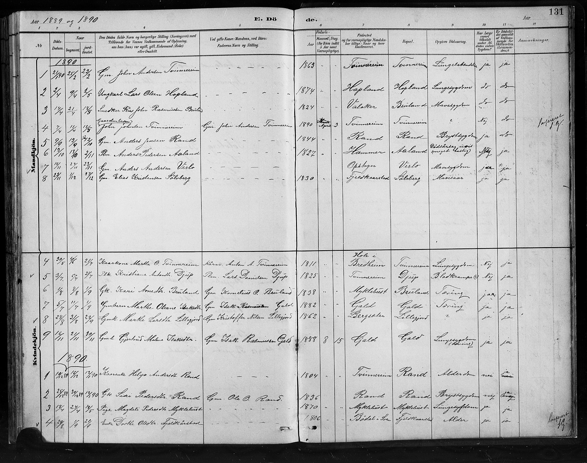 Innvik sokneprestembete, SAB/A-80501: Parish register (copy) no. C 3, 1883-1911, p. 131