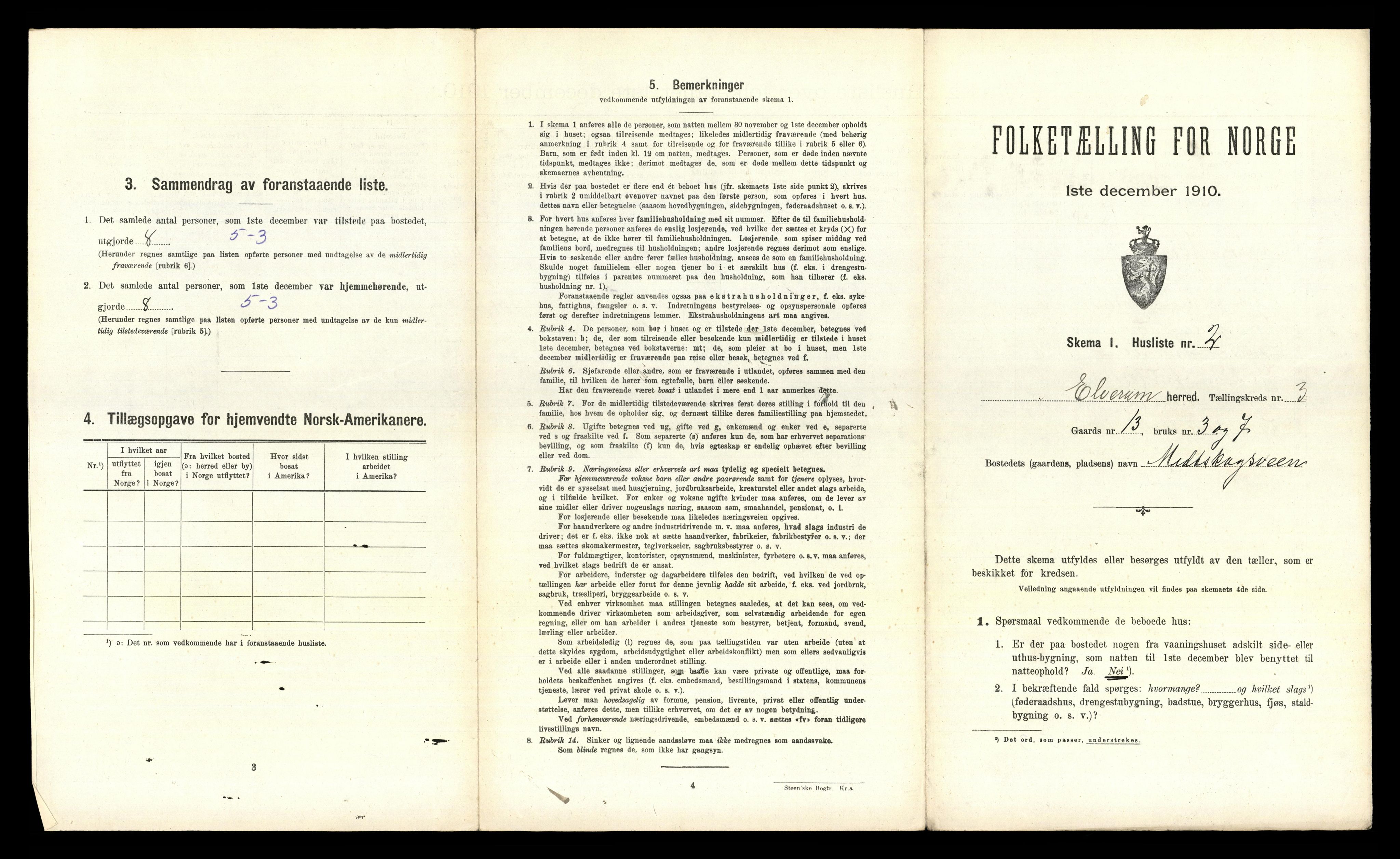 RA, 1910 census for Elverum, 1910, p. 317