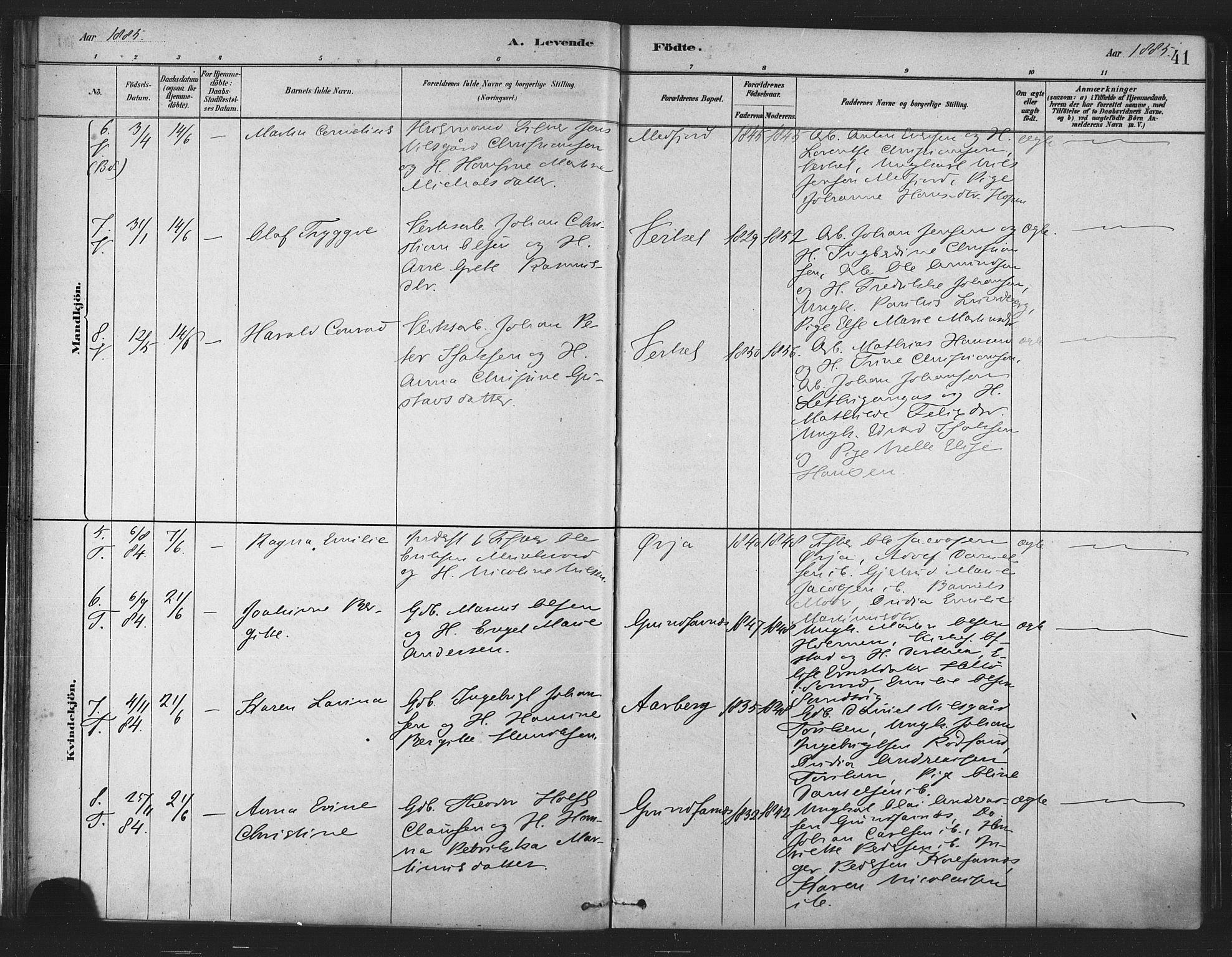 Berg sokneprestkontor, AV/SATØ-S-1318/G/Ga/Gaa/L0004kirke: Parish register (official) no. 4, 1880-1894, p. 41