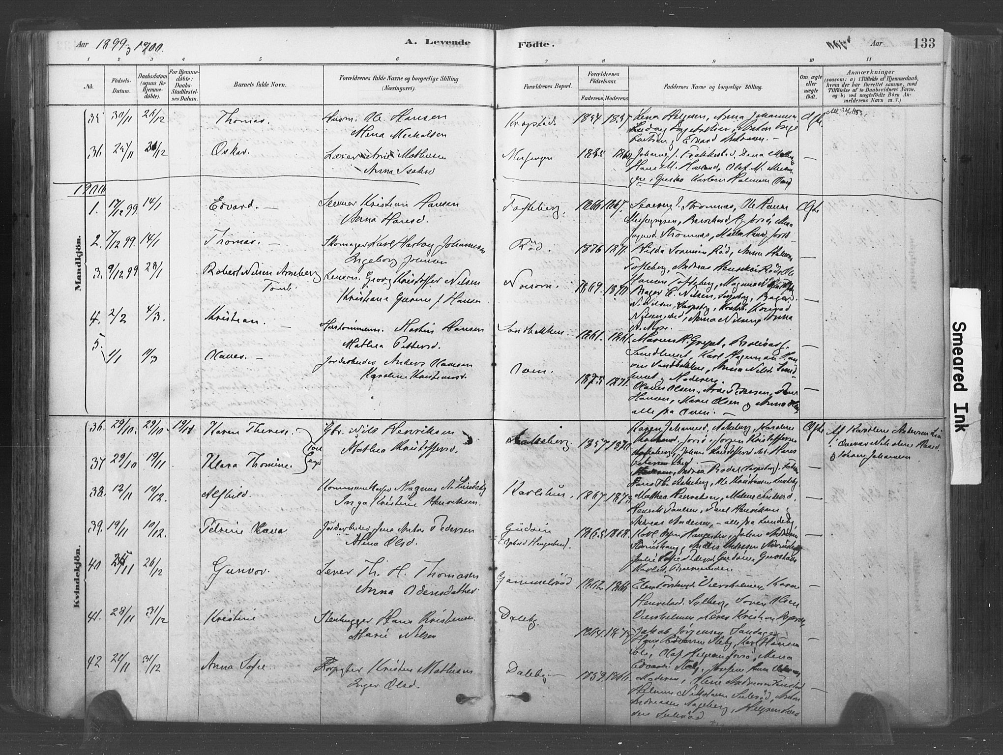 Råde prestekontor kirkebøker, AV/SAO-A-2009/F/Fa/L0007: Parish register (official) no. 7, 1878-1902, p. 133