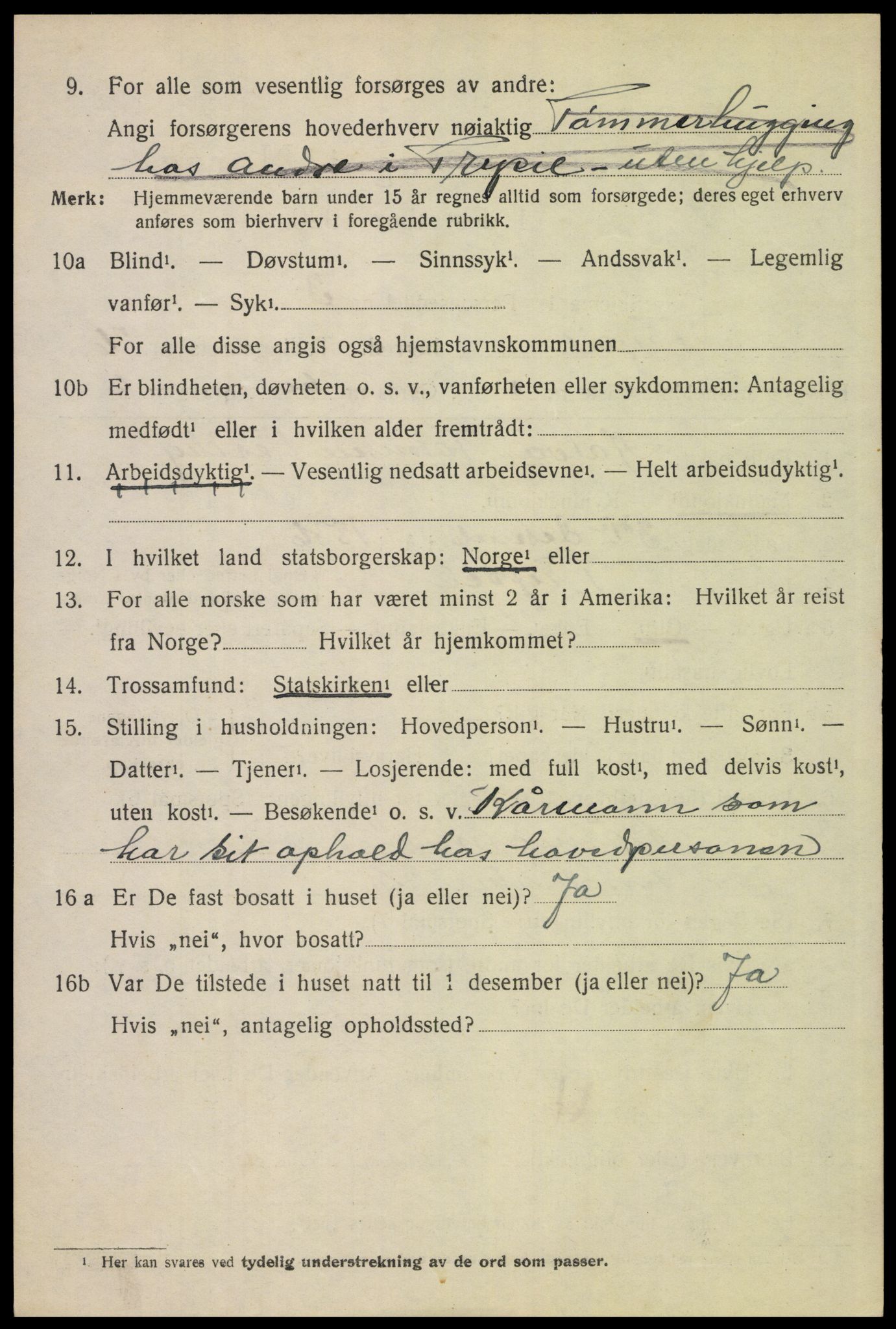 SAH, 1920 census for Trysil, 1920, p. 16148